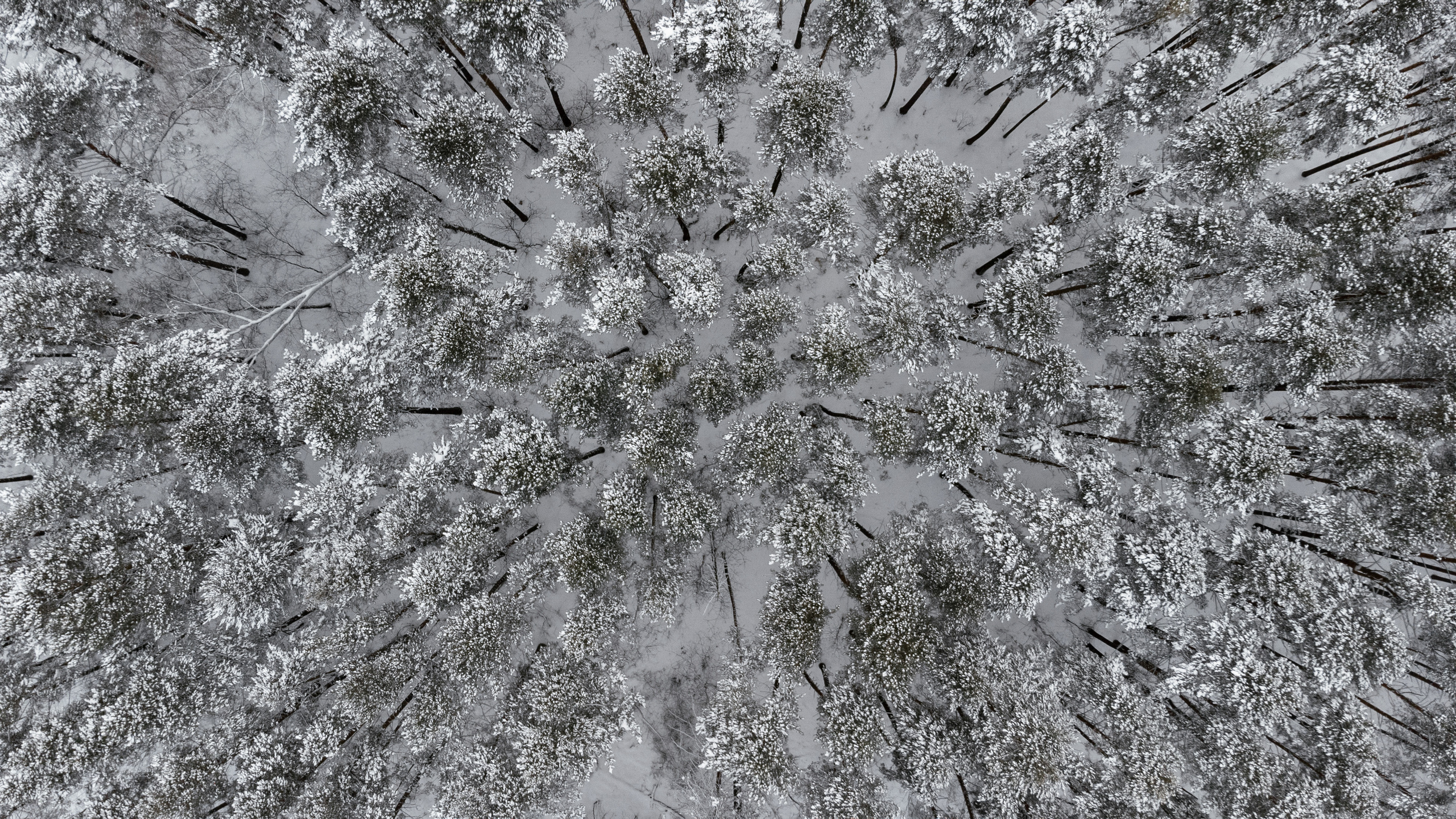 10.12.2021. Фотограф Томск, Новосибирск Влад Свириденко