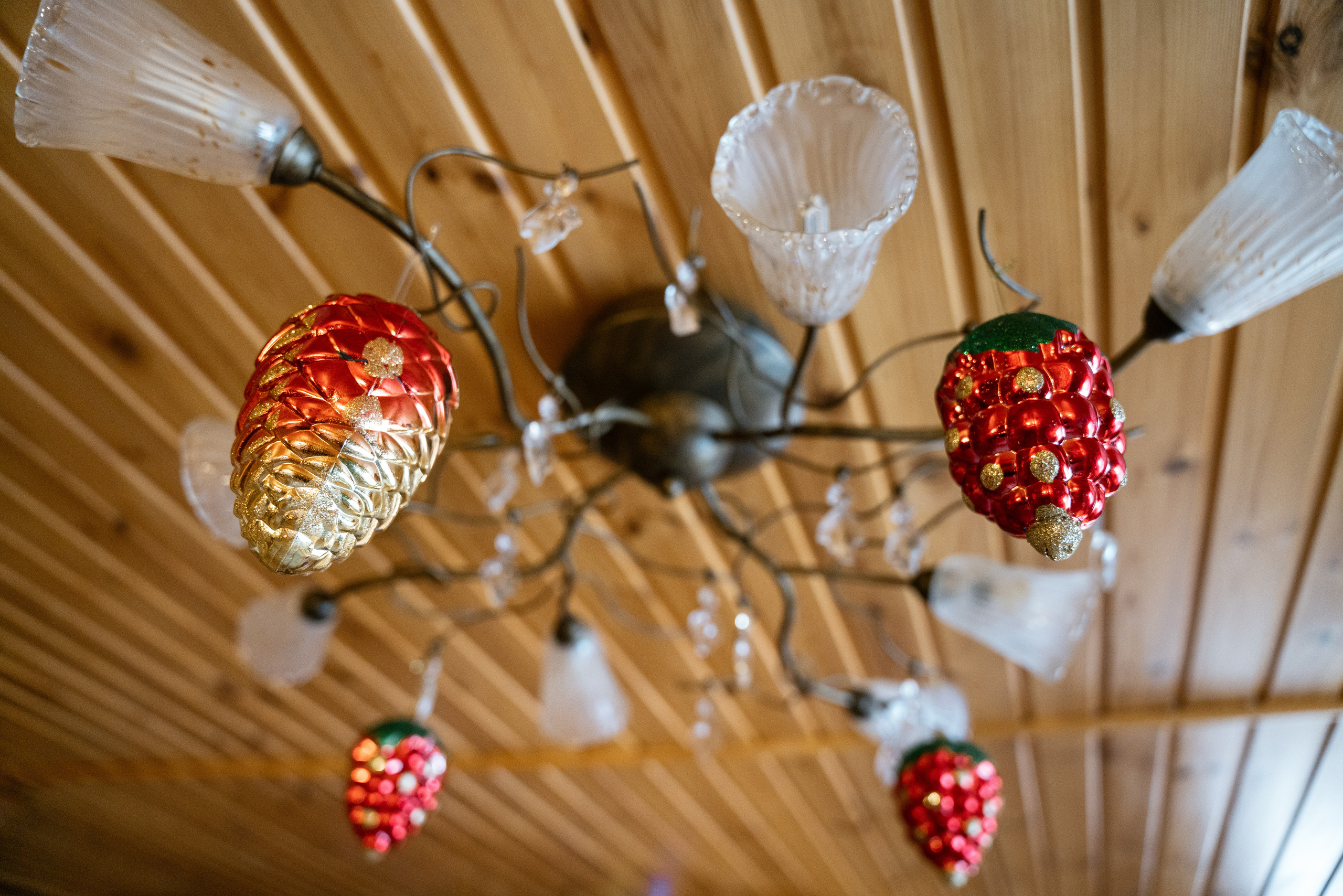 15.12.2021. Фотограф Томск, Новосибирск Влад Свириденко