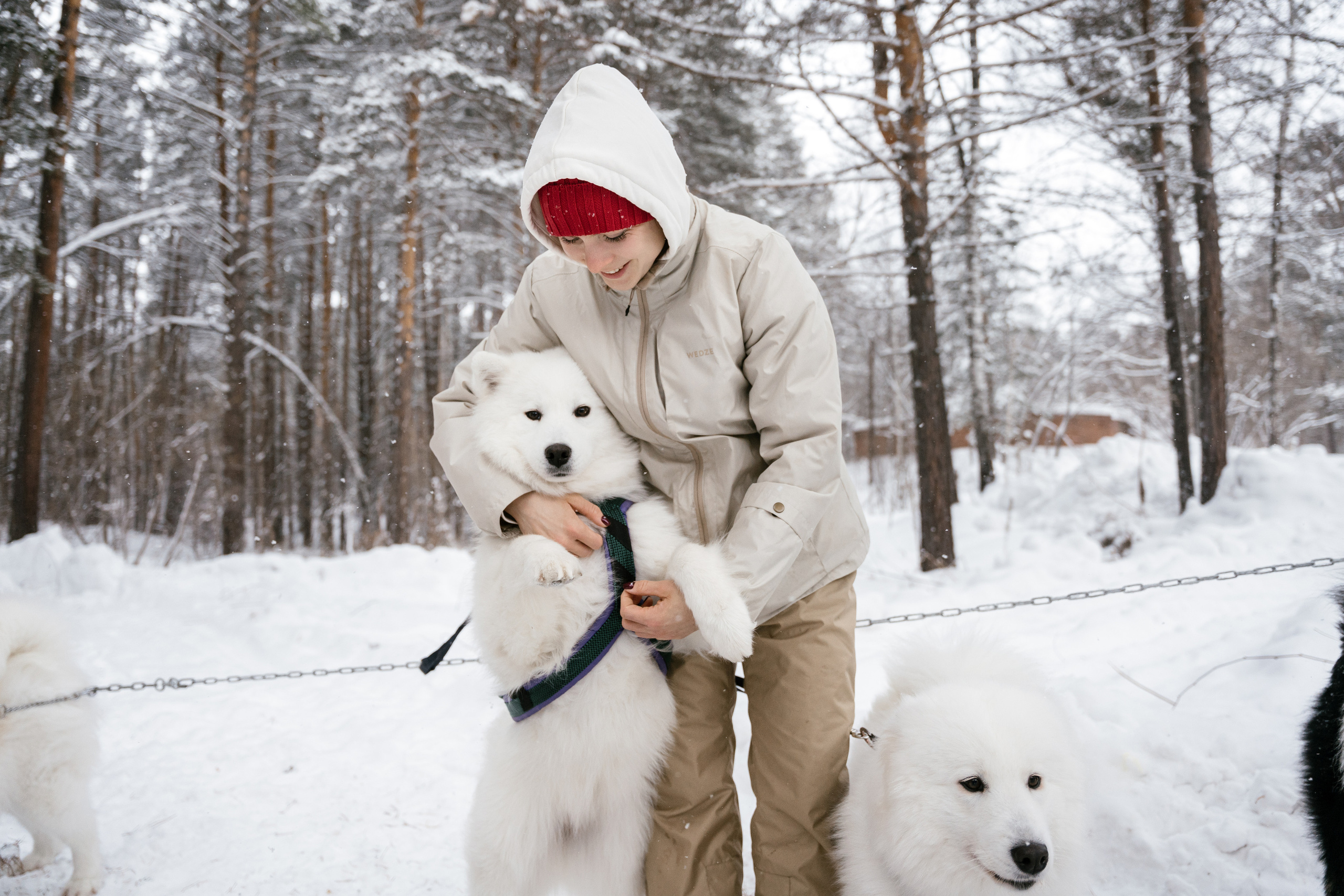 10.12.2021. Фотограф Томск, Новосибирск Влад Свириденко