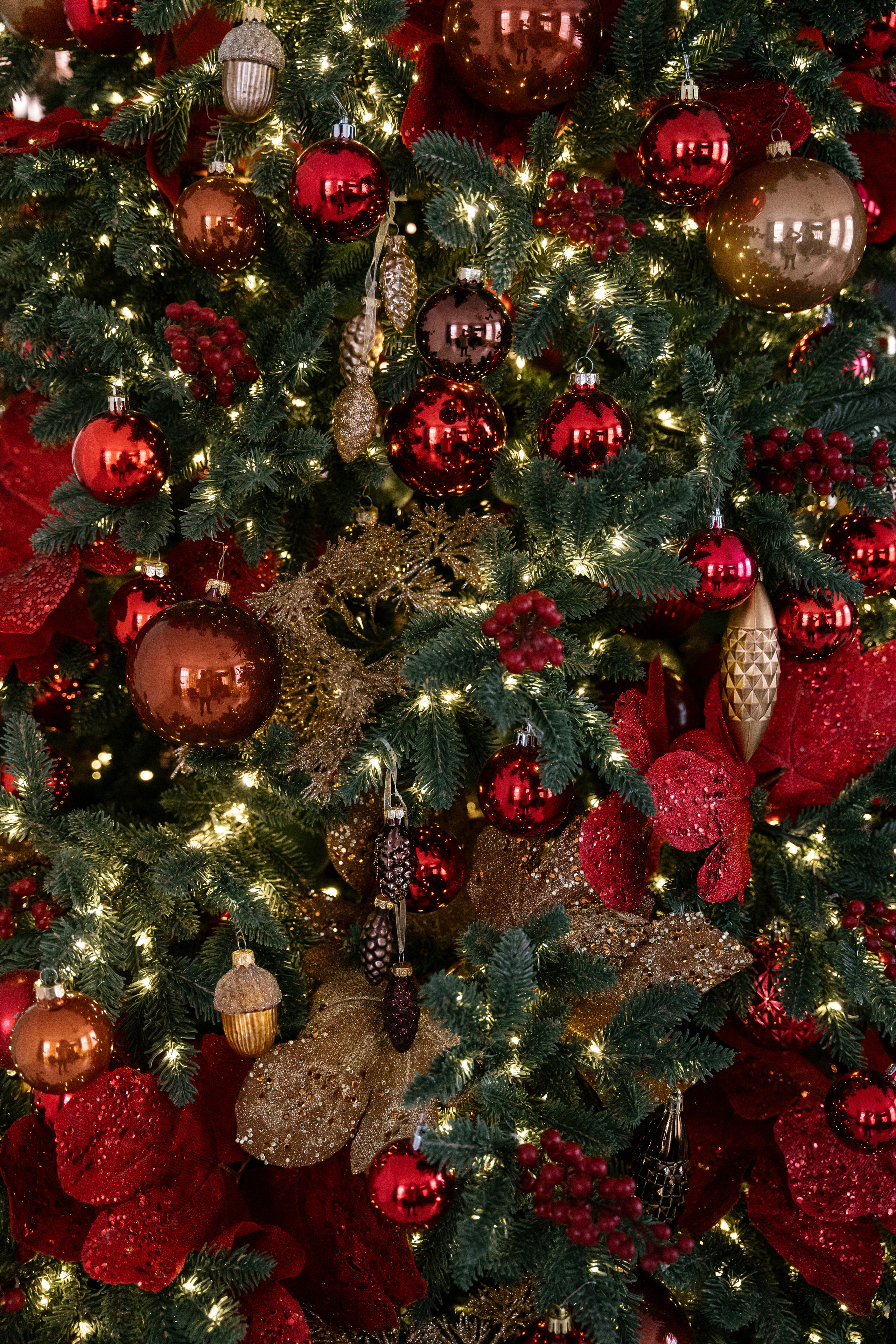 17.12.2021 New Year. Фотограф Томск, Новосибирск Влад Свириденко