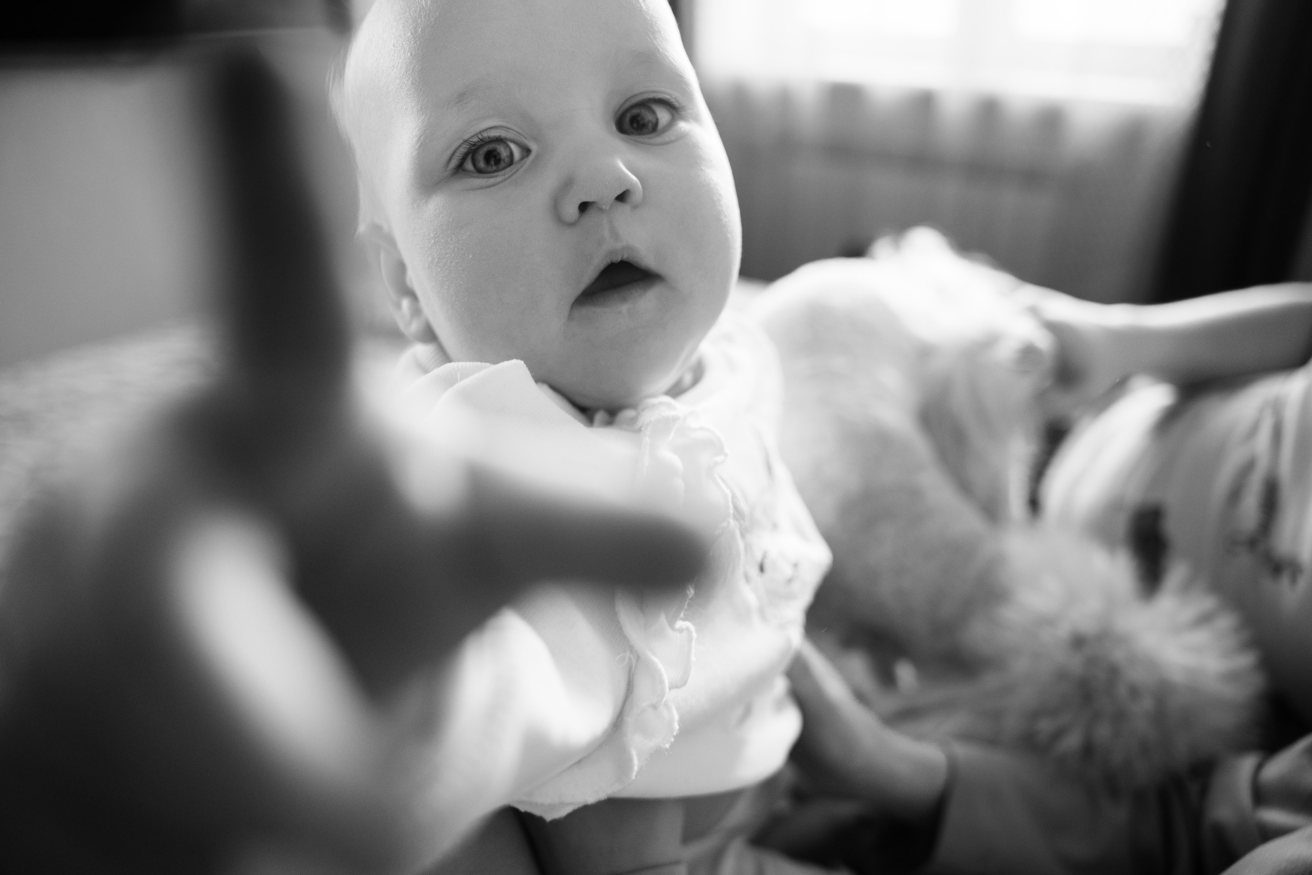 19.12.2021 Family. Фотограф Томск, Новосибирск Влад Свириденко