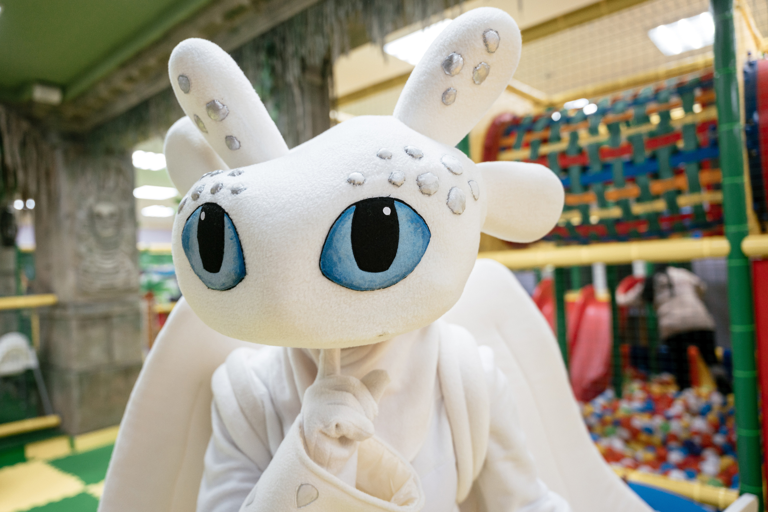 09.12.2021 Birthday party. Фотограф Томск, Новосибирск Влад Свириденко