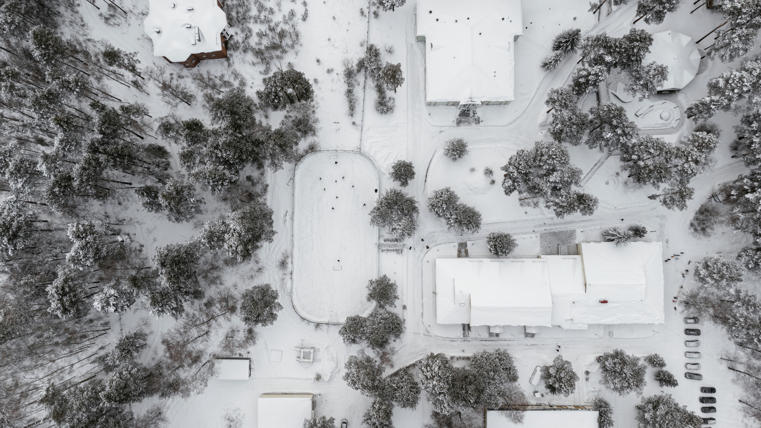 10.12.2021. Фотограф Томск, Новосибирск Влад Свириденко