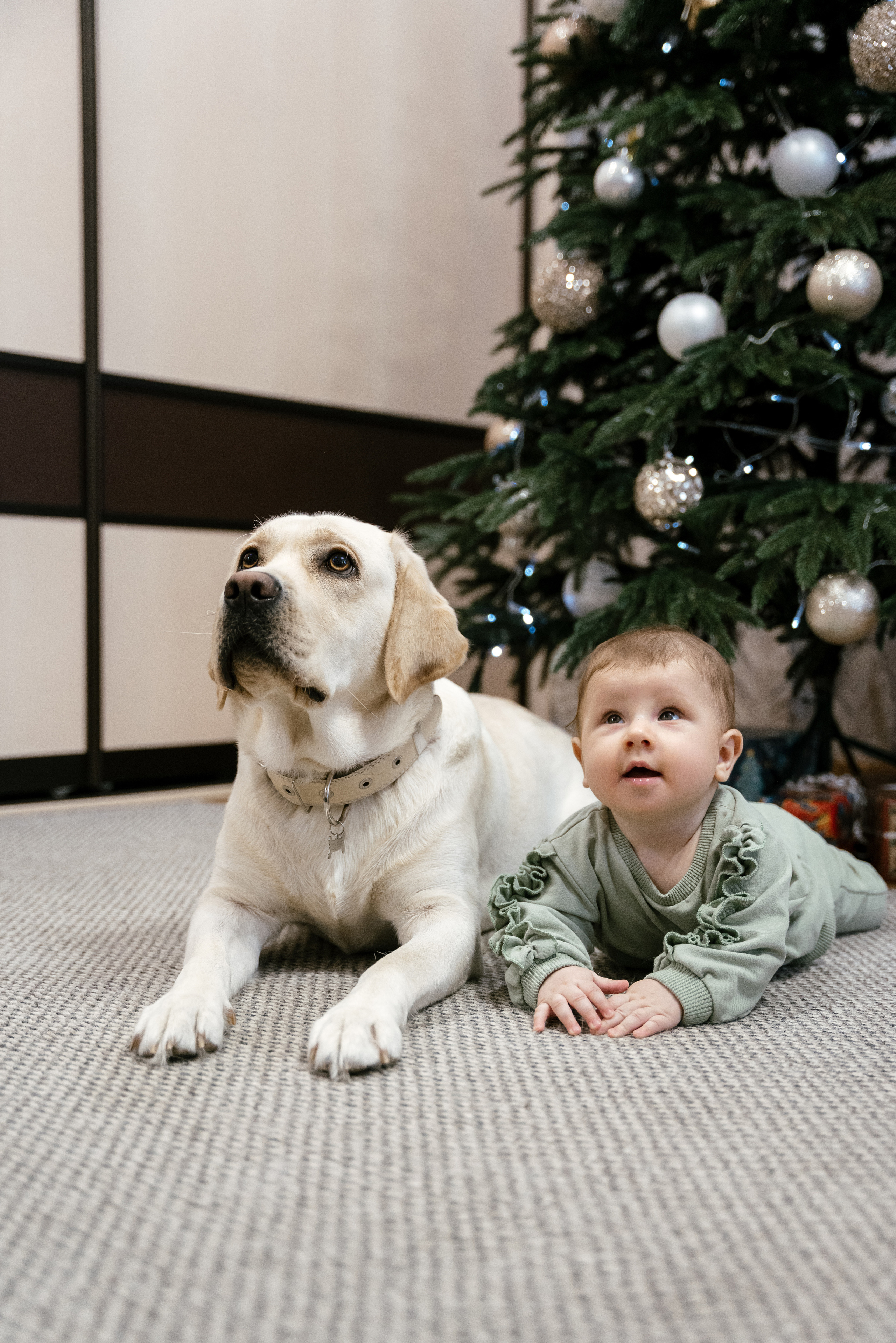29.12.2021 Family. Фотограф Томск, Новосибирск Влад Свириденко