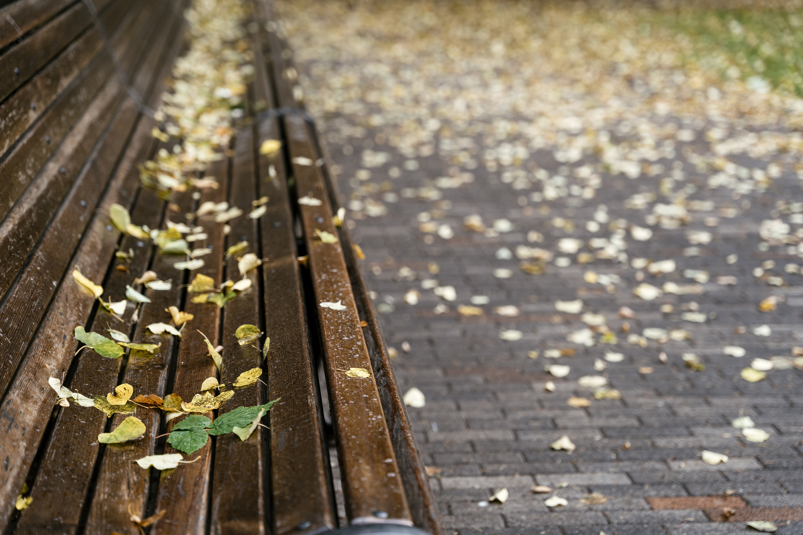 01.10.2021 Wedding day. Фотограф Томск, Новосибирск Влад Свириденко