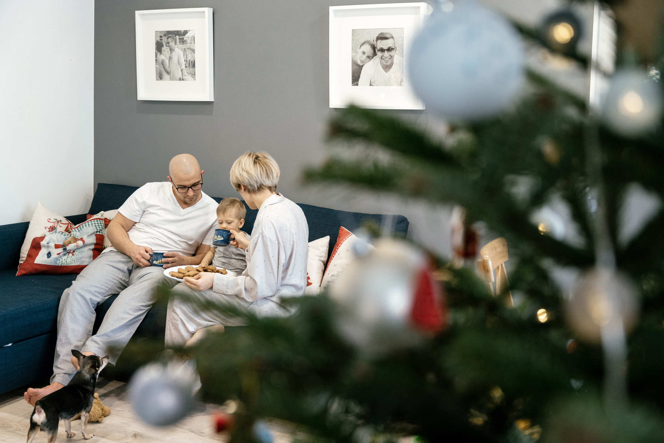 25.12.2021 Sweet Home. Фотограф Томск, Новосибирск Влад Свириденко