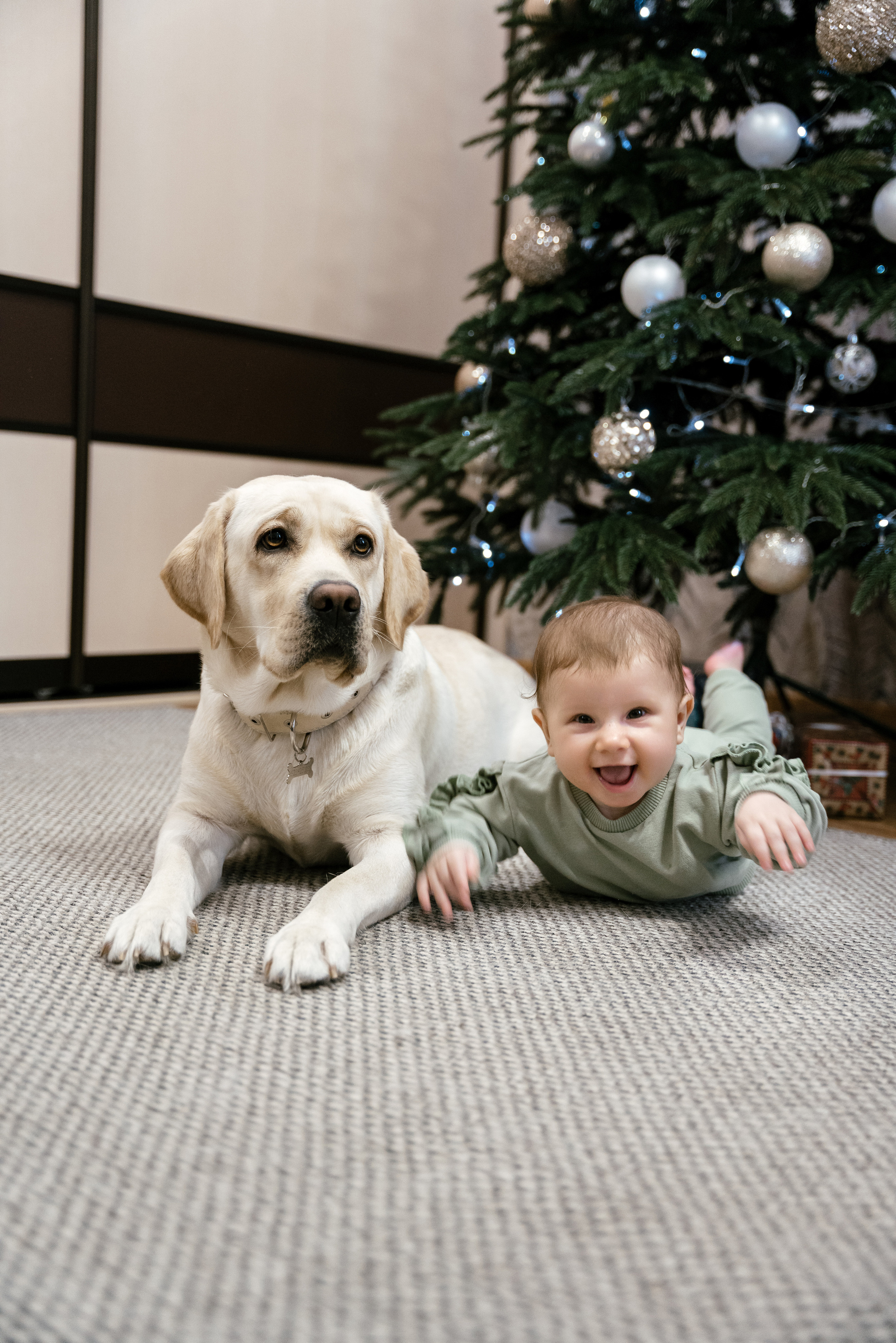 29.12.2021 Family. Фотограф Томск, Новосибирск Влад Свириденко