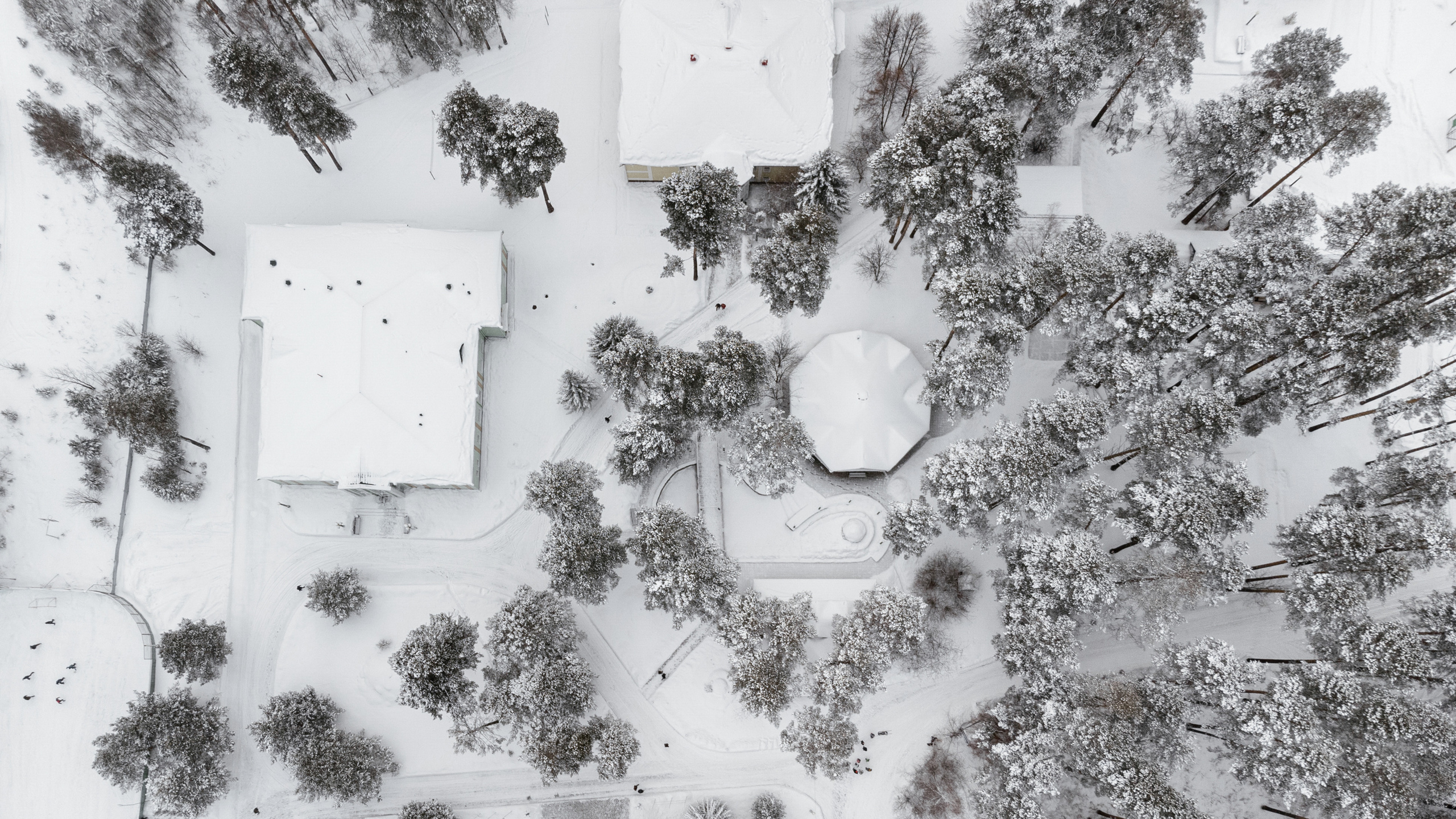 10.12.2021. Фотограф Томск, Новосибирск Влад Свириденко