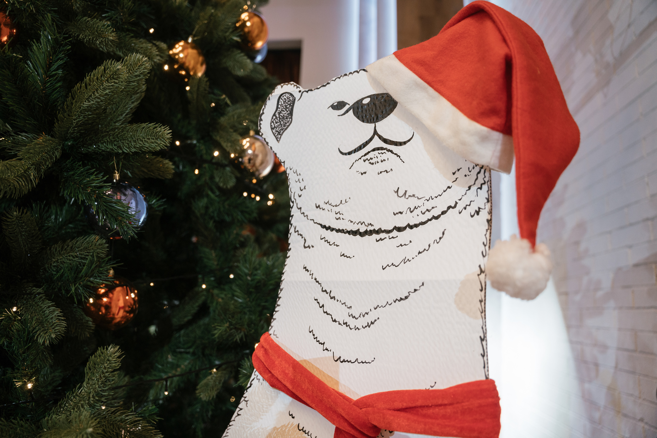 21.12.2021 New year. Фотограф Томск, Новосибирск Влад Свириденко