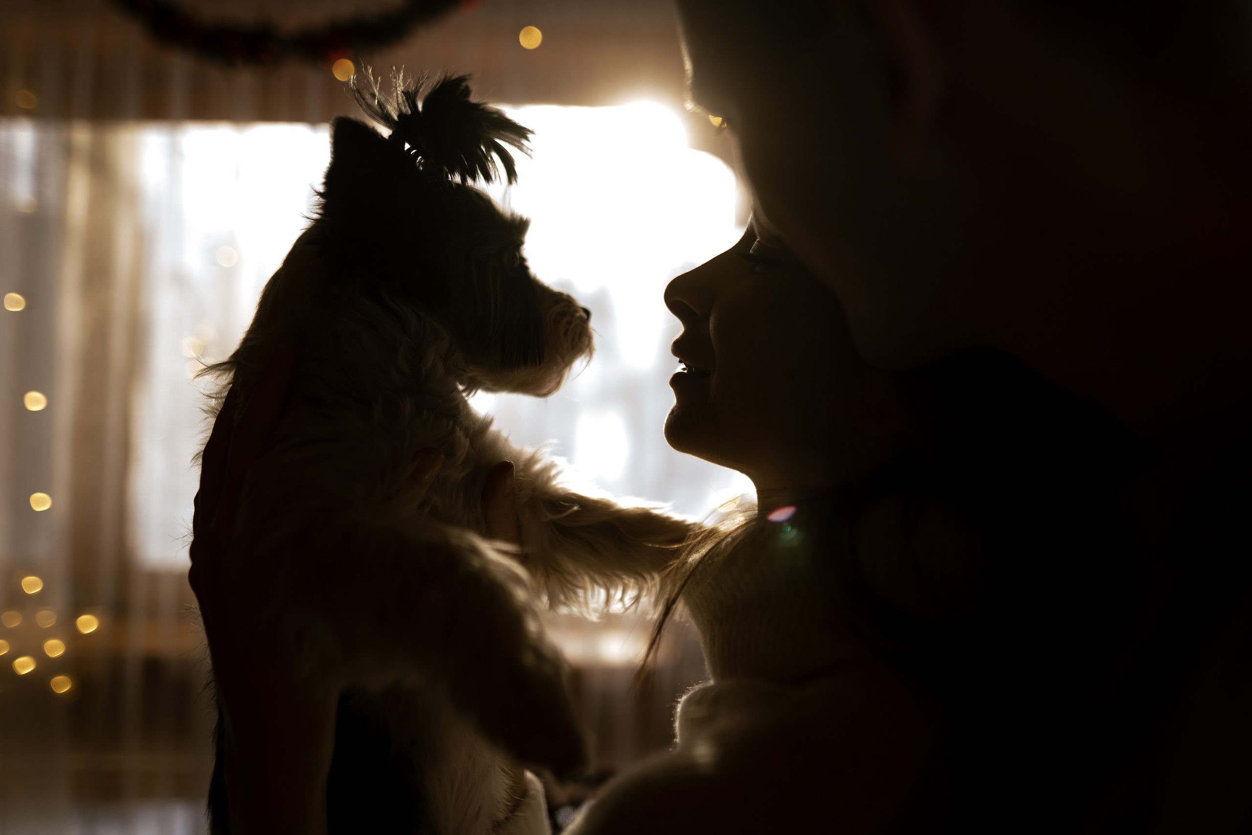 15.12.2021. Фотограф Томск, Новосибирск Влад Свириденко