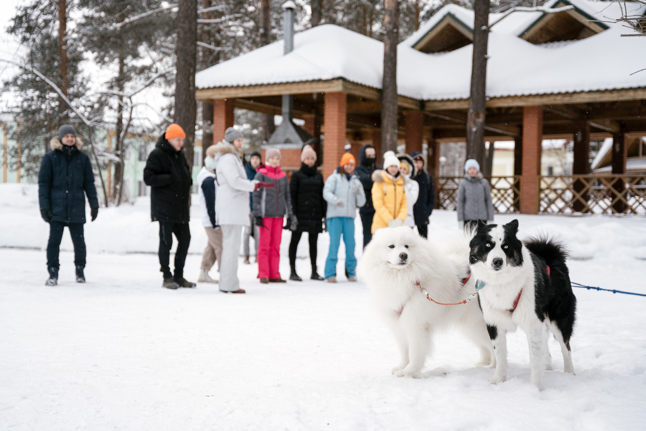 10.12.2021. Фотограф Томск, Новосибирск Влад Свириденко