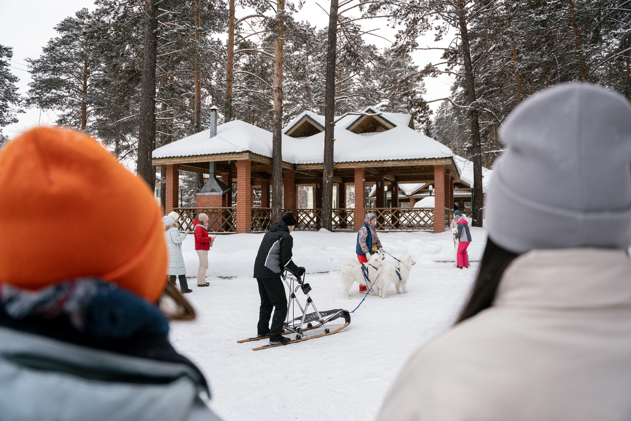 10.12.2021. Фотограф Томск, Новосибирск Влад Свириденко