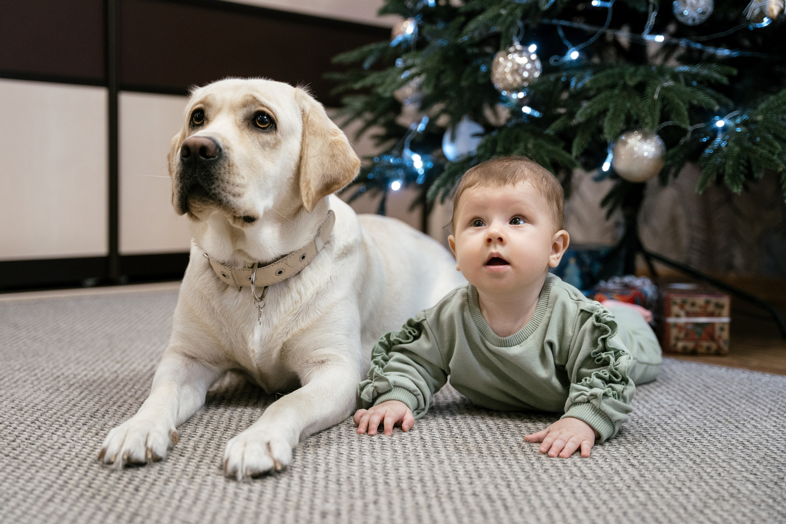 29.12.2021 Family. Фотограф Томск, Новосибирск Влад Свириденко