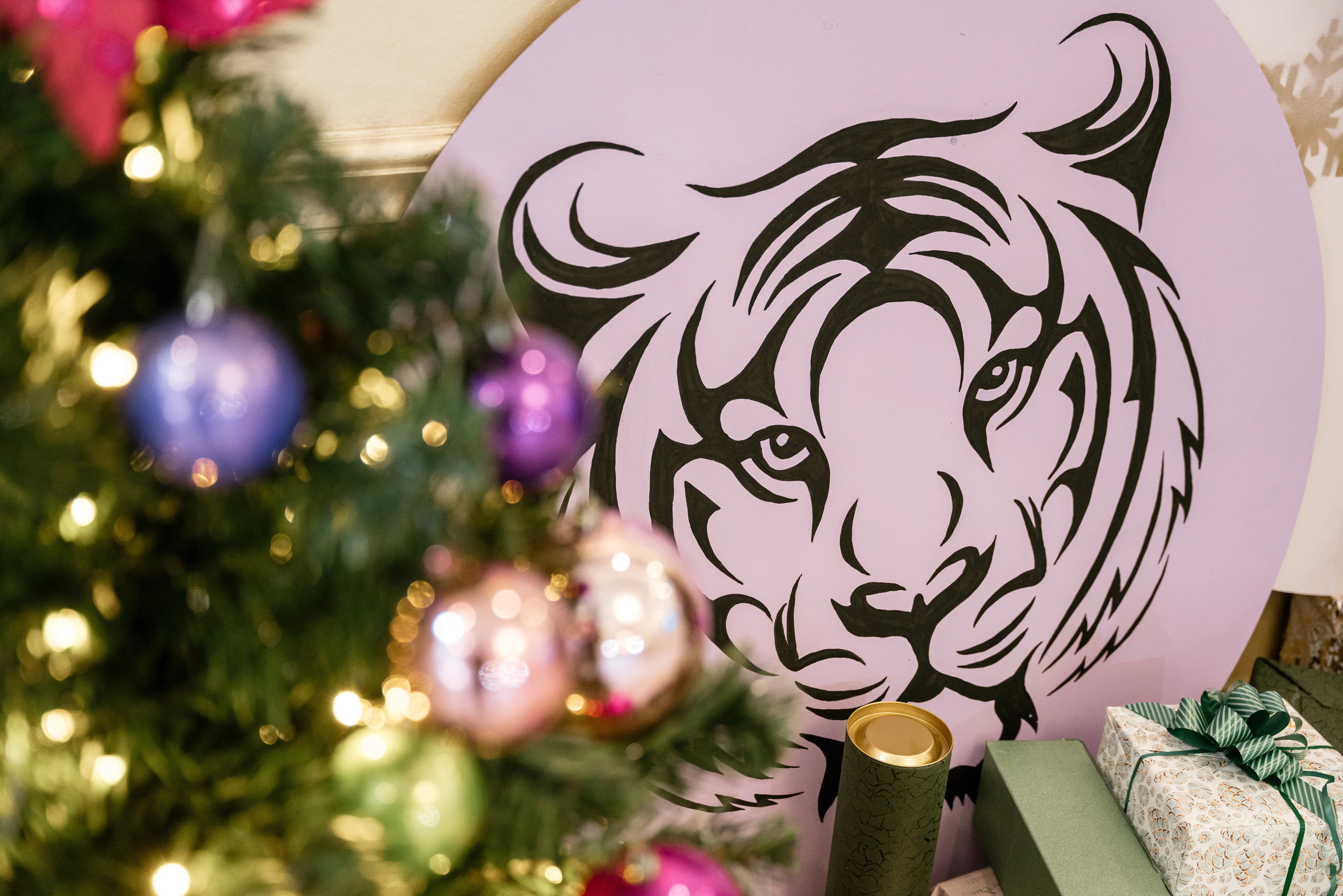 28.12.2021 New Year. Фотограф Томск, Новосибирск Влад Свириденко