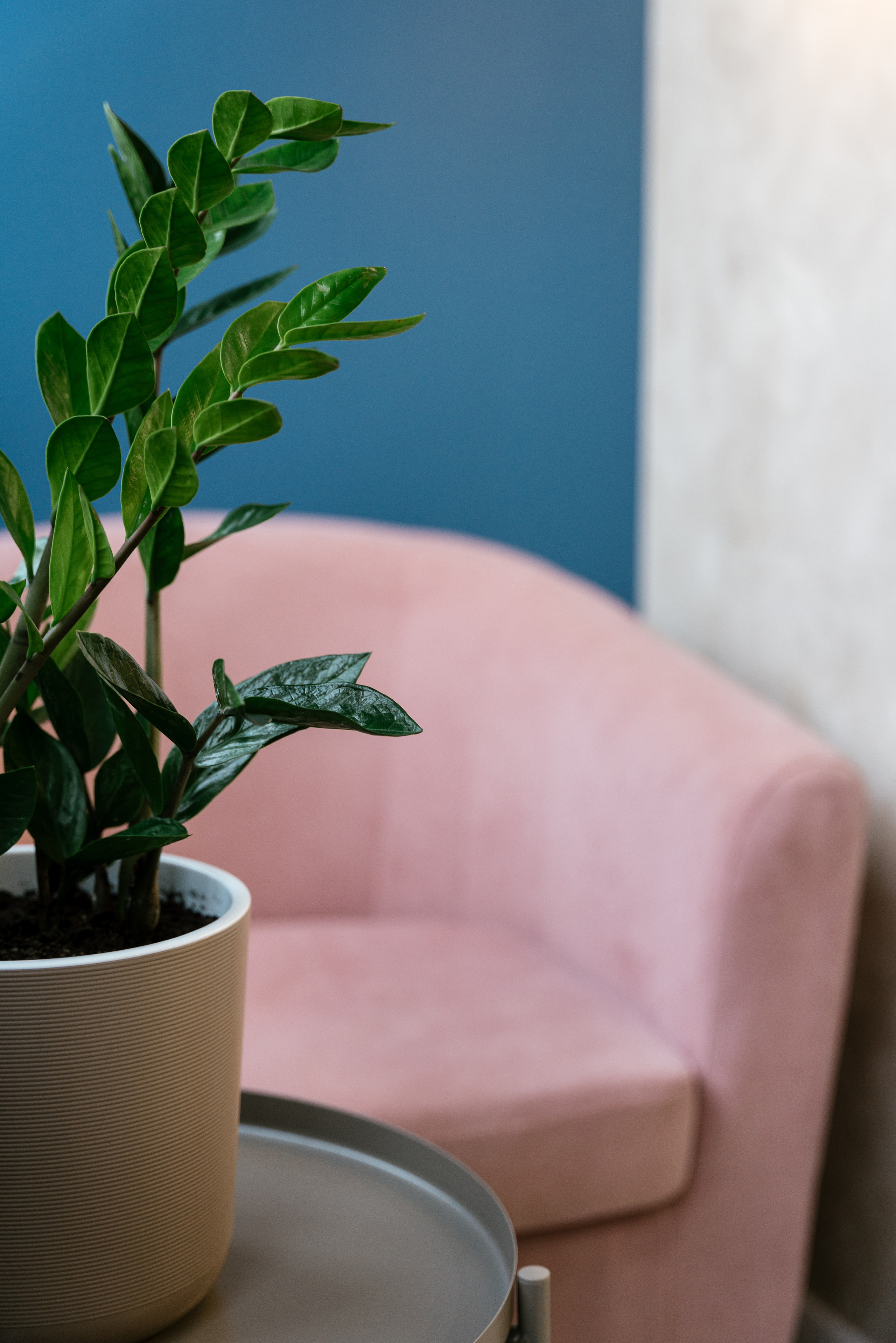 22.12.2021 Home. Фотограф Томск, Новосибирск Влад Свириденко