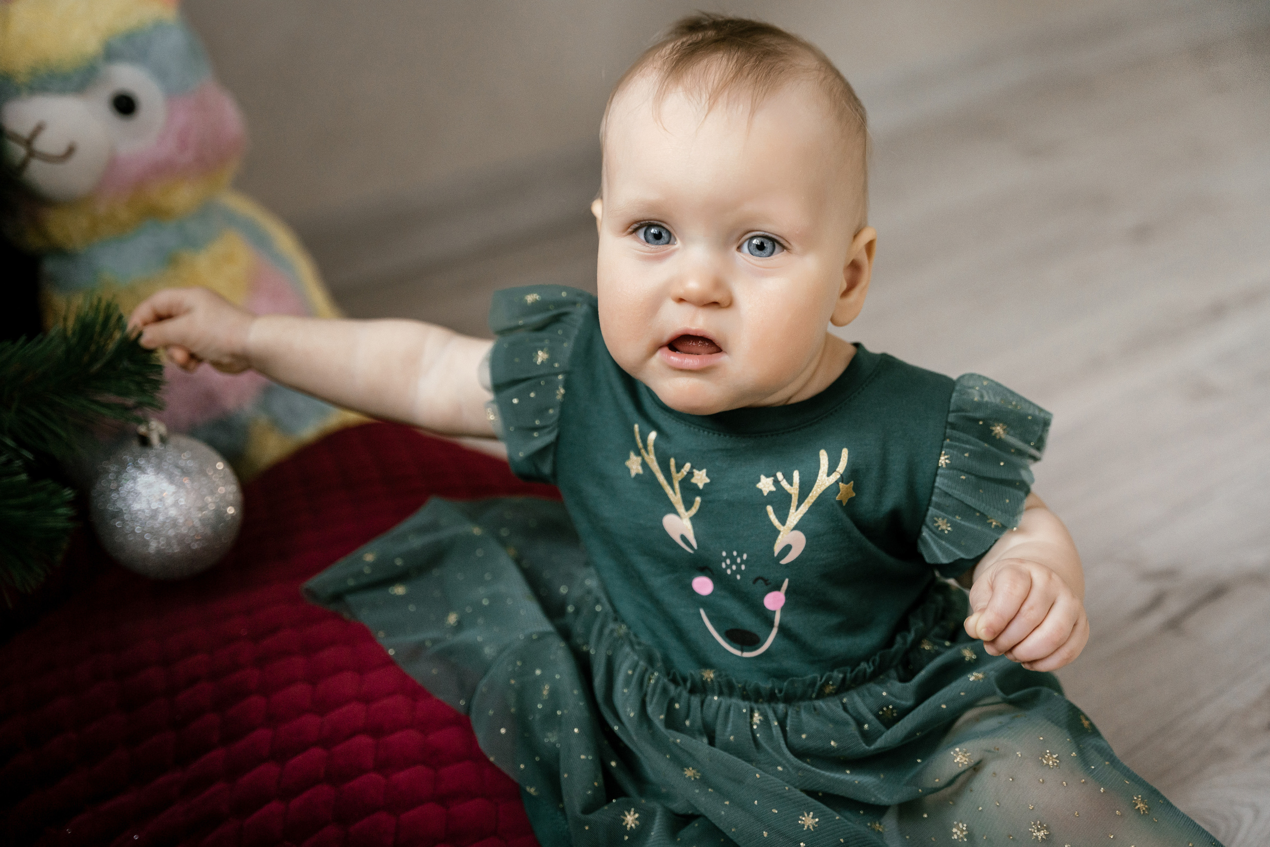 19.12.2021 Family. Фотограф Томск, Новосибирск Влад Свириденко