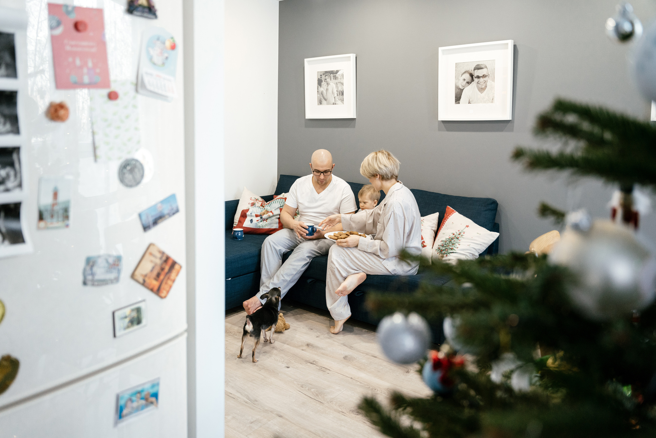 25.12.2021 Sweet Home. Фотограф Томск, Новосибирск Влад Свириденко