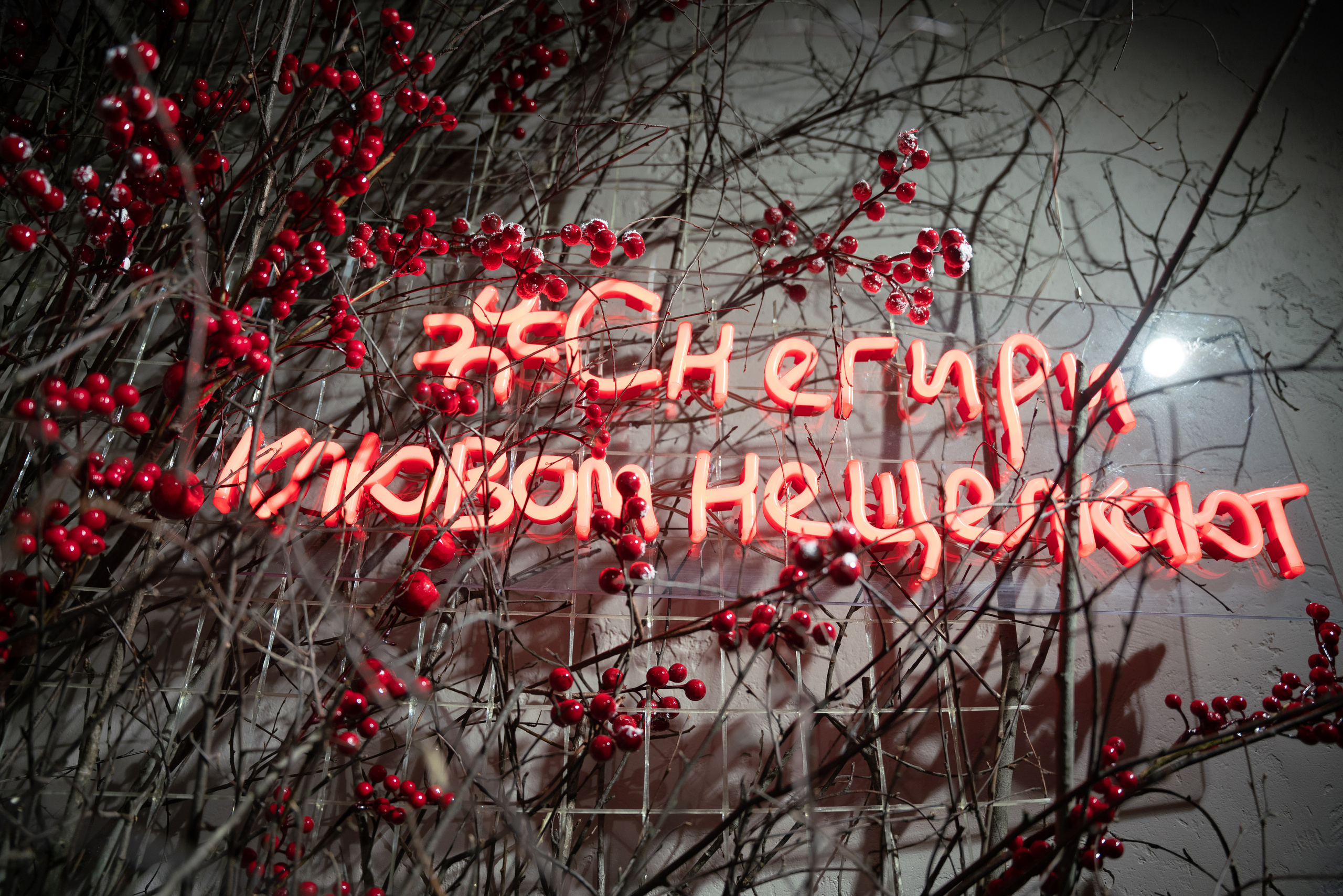 18.12.2021. Фотограф Томск, Новосибирск Влад Свириденко