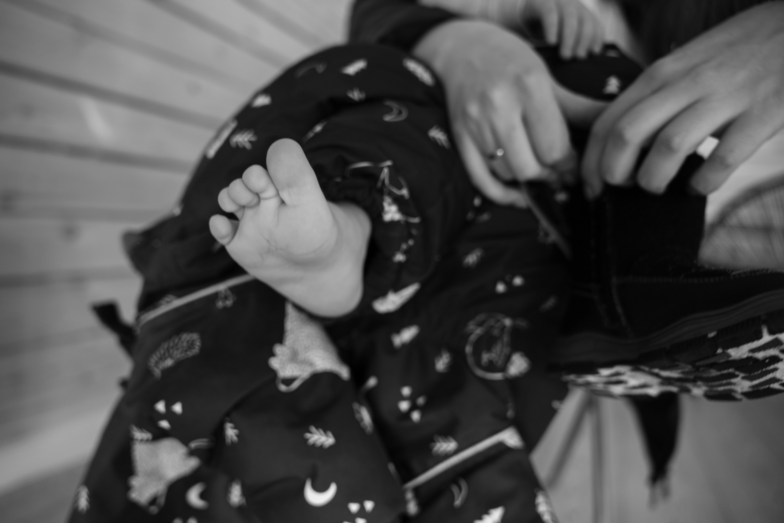 19.12.2021 Winter Day. Фотограф Томск, Новосибирск Влад Свириденко