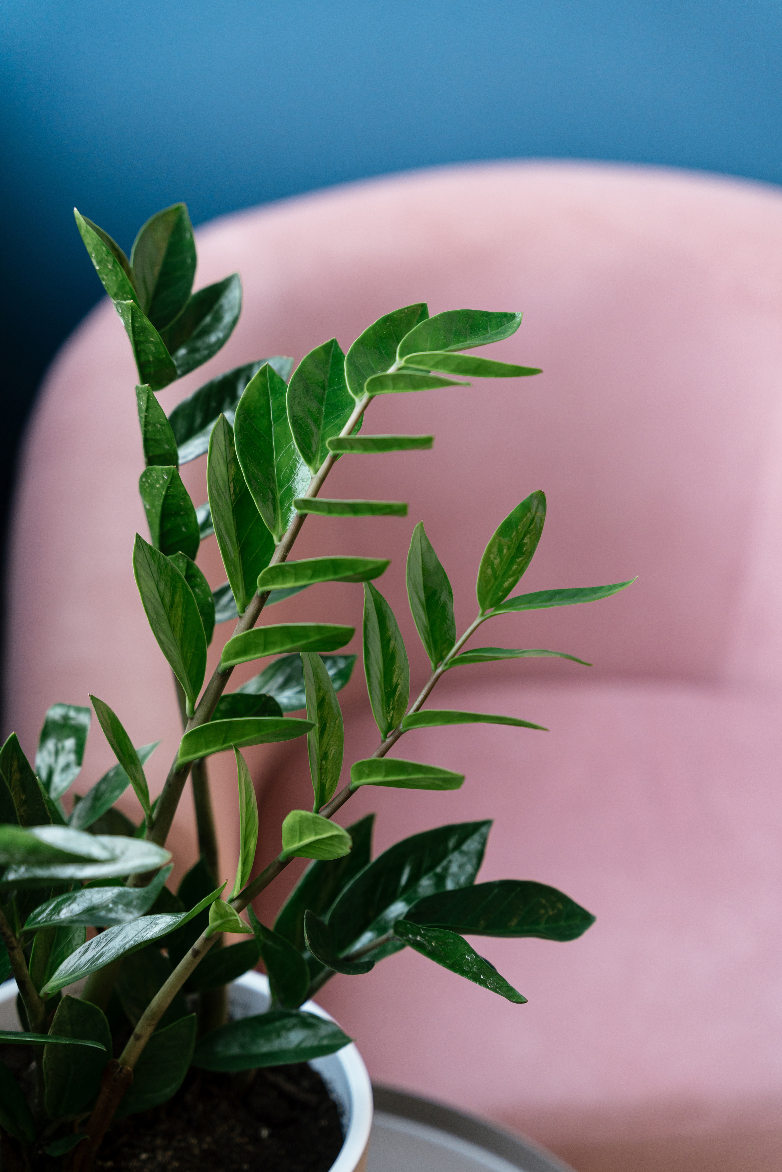 22.12.2021 Home. Фотограф Томск, Новосибирск Влад Свириденко