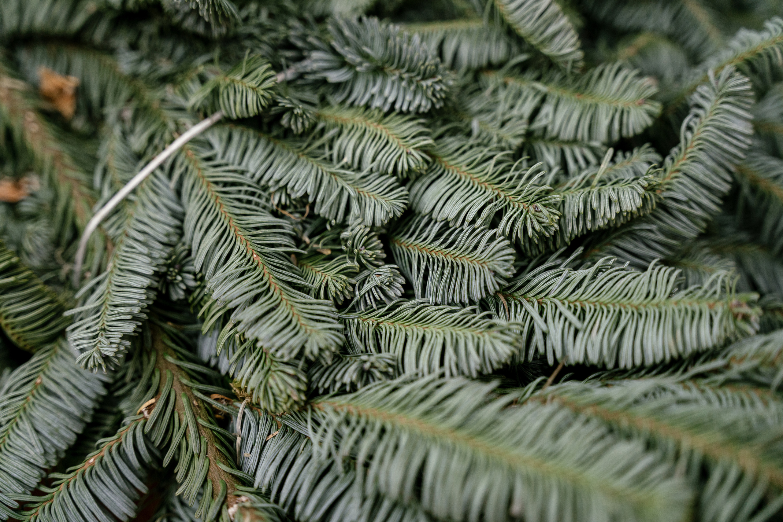 10.12.2021. Фотограф Томск, Новосибирск Влад Свириденко