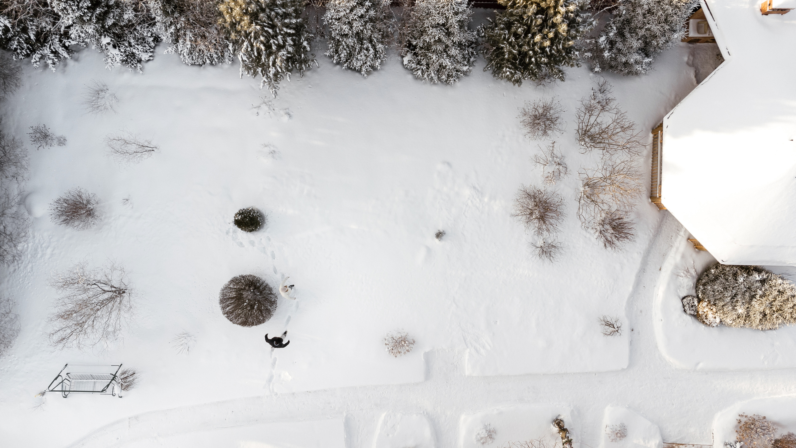 15.12.2021. Фотограф Томск, Новосибирск Влад Свириденко