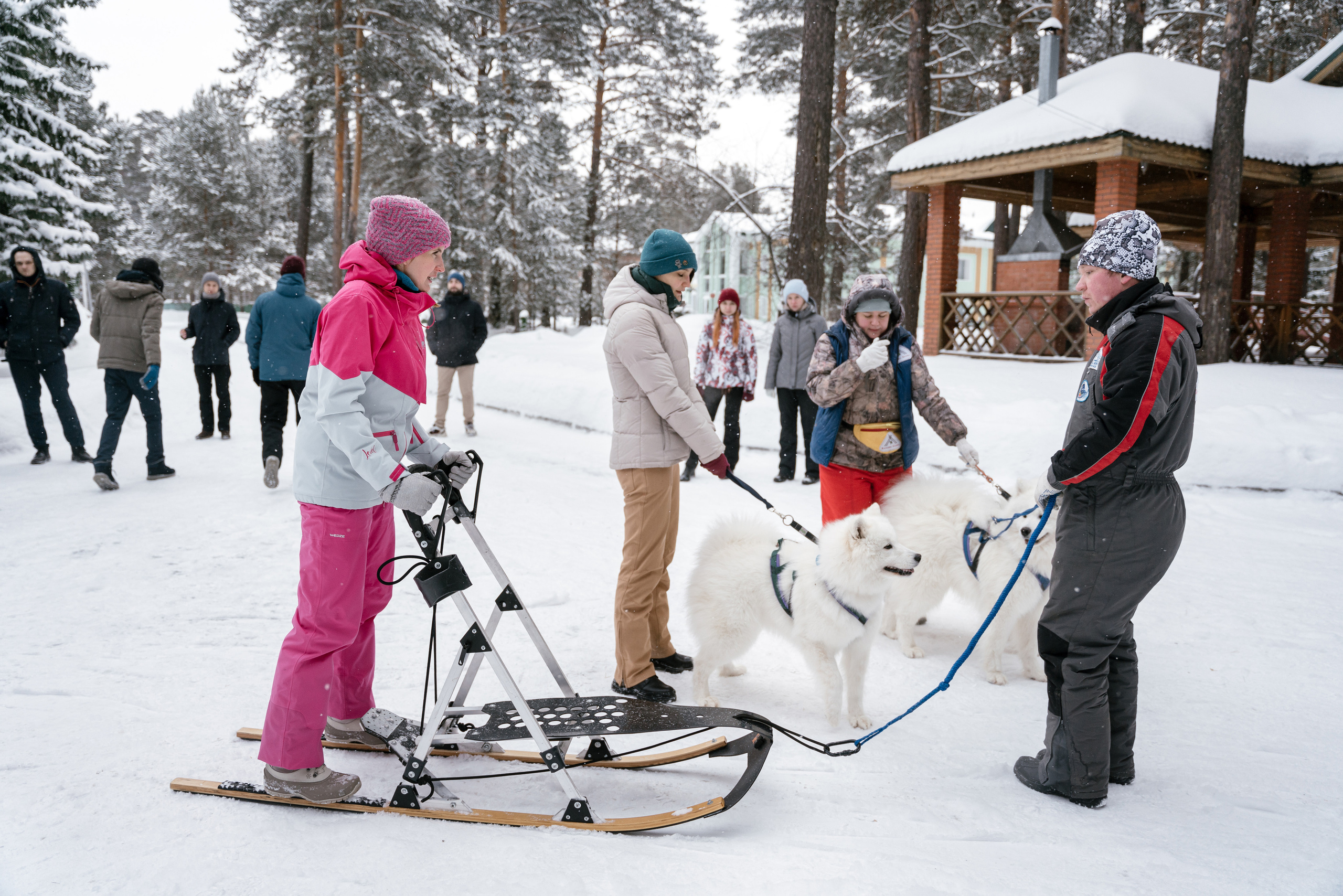 10.12.2021. Фотограф Томск, Новосибирск Влад Свириденко