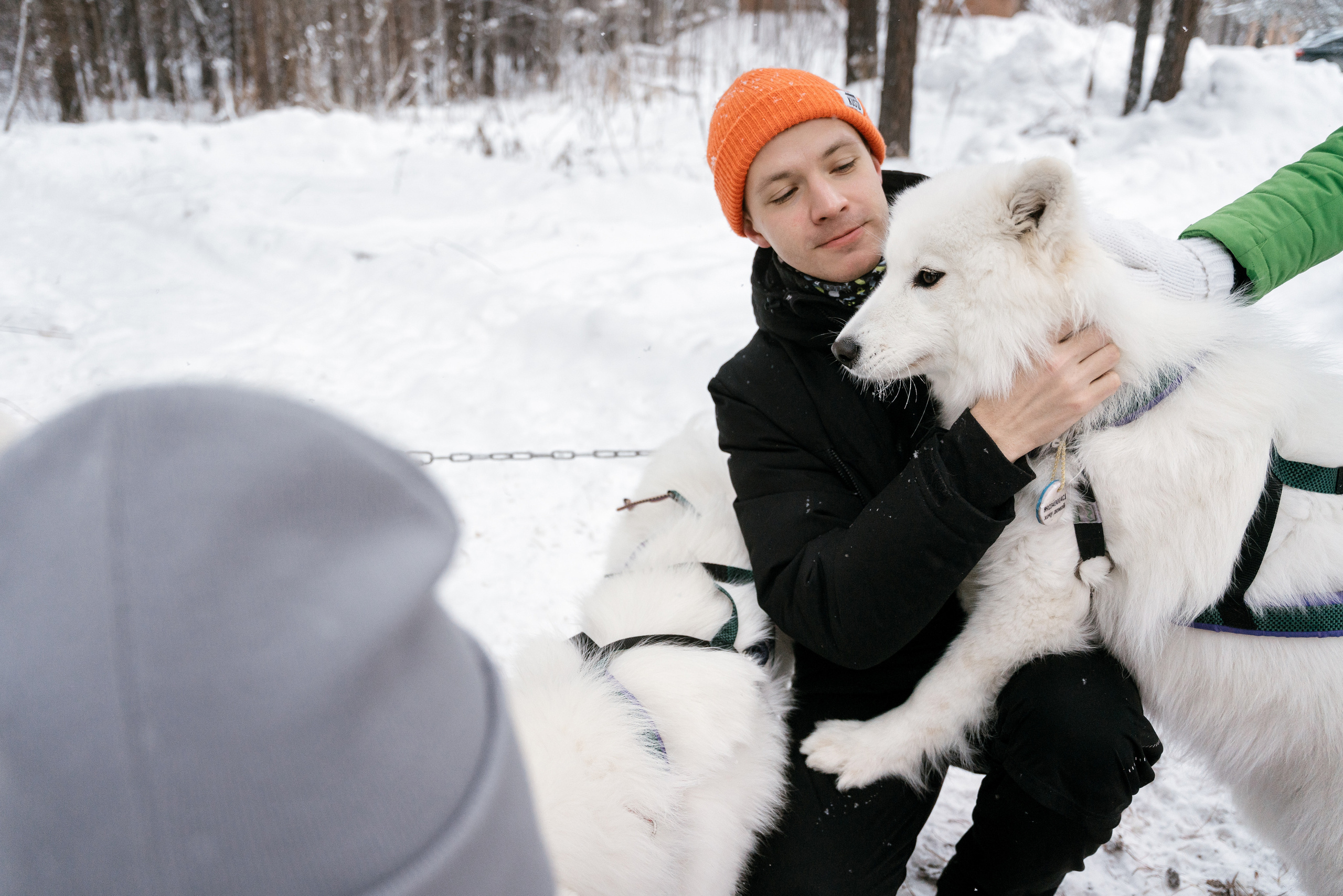 10.12.2021. Фотограф Томск, Новосибирск Влад Свириденко