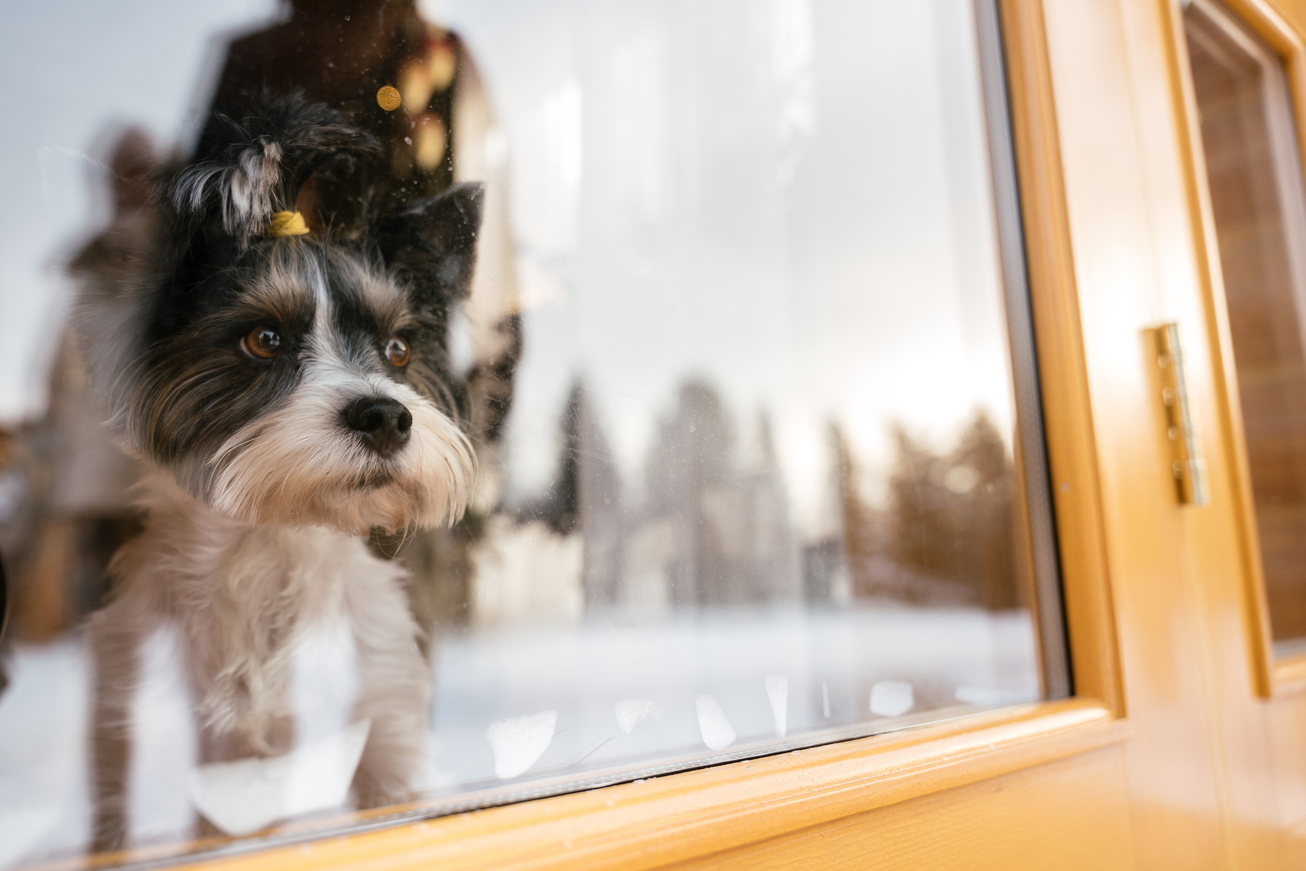 15.12.2021. Фотограф Томск, Новосибирск Влад Свириденко