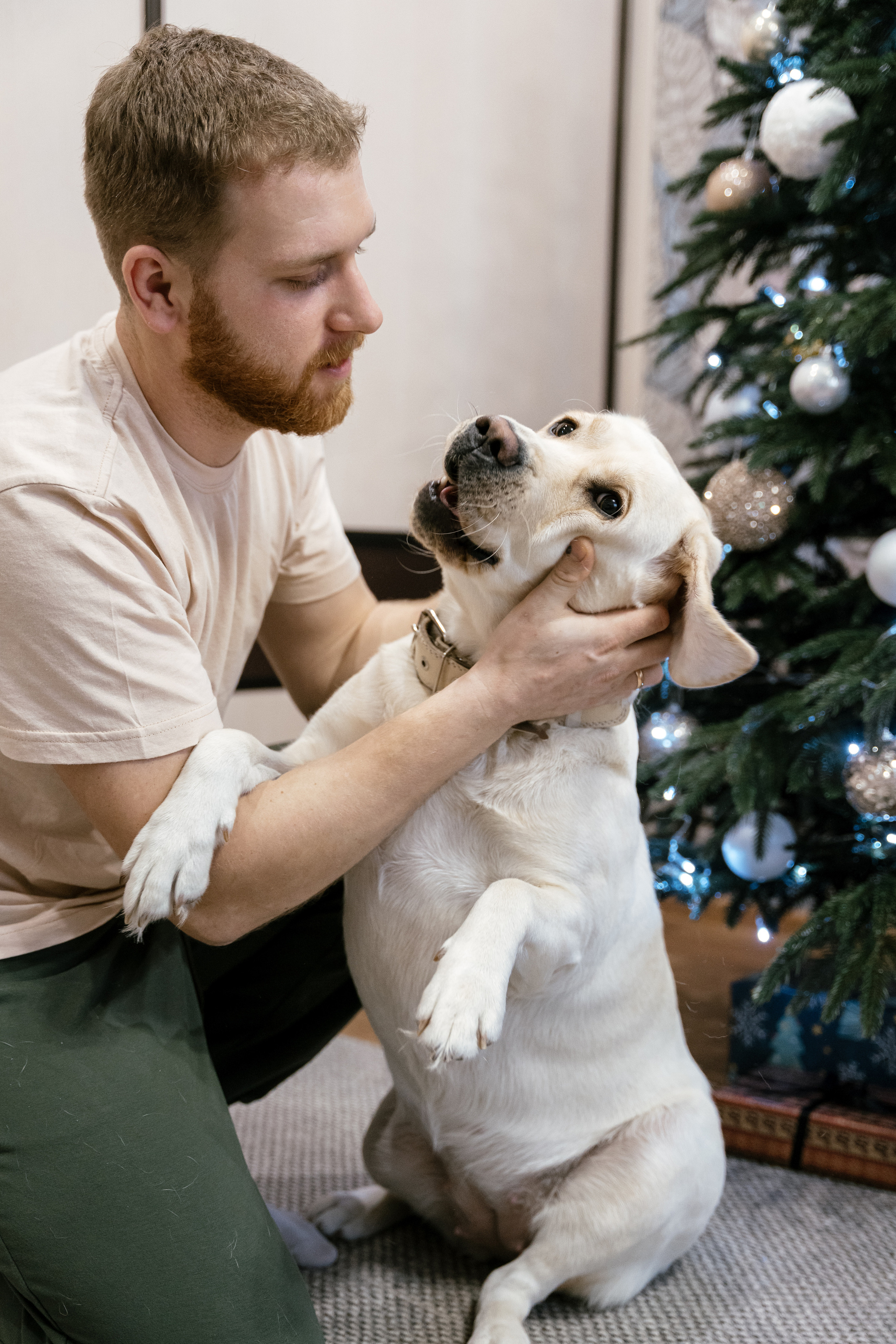 29.12.2021 Family. Фотограф Томск, Новосибирск Влад Свириденко