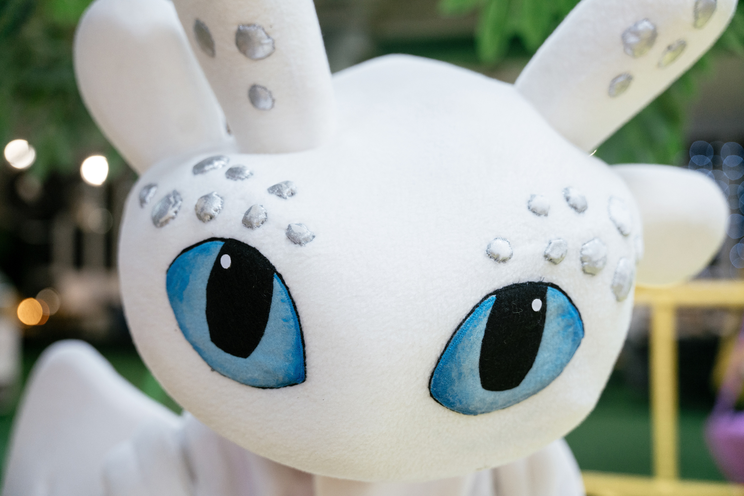 09.12.2021 Birthday party. Фотограф Томск, Новосибирск Влад Свириденко