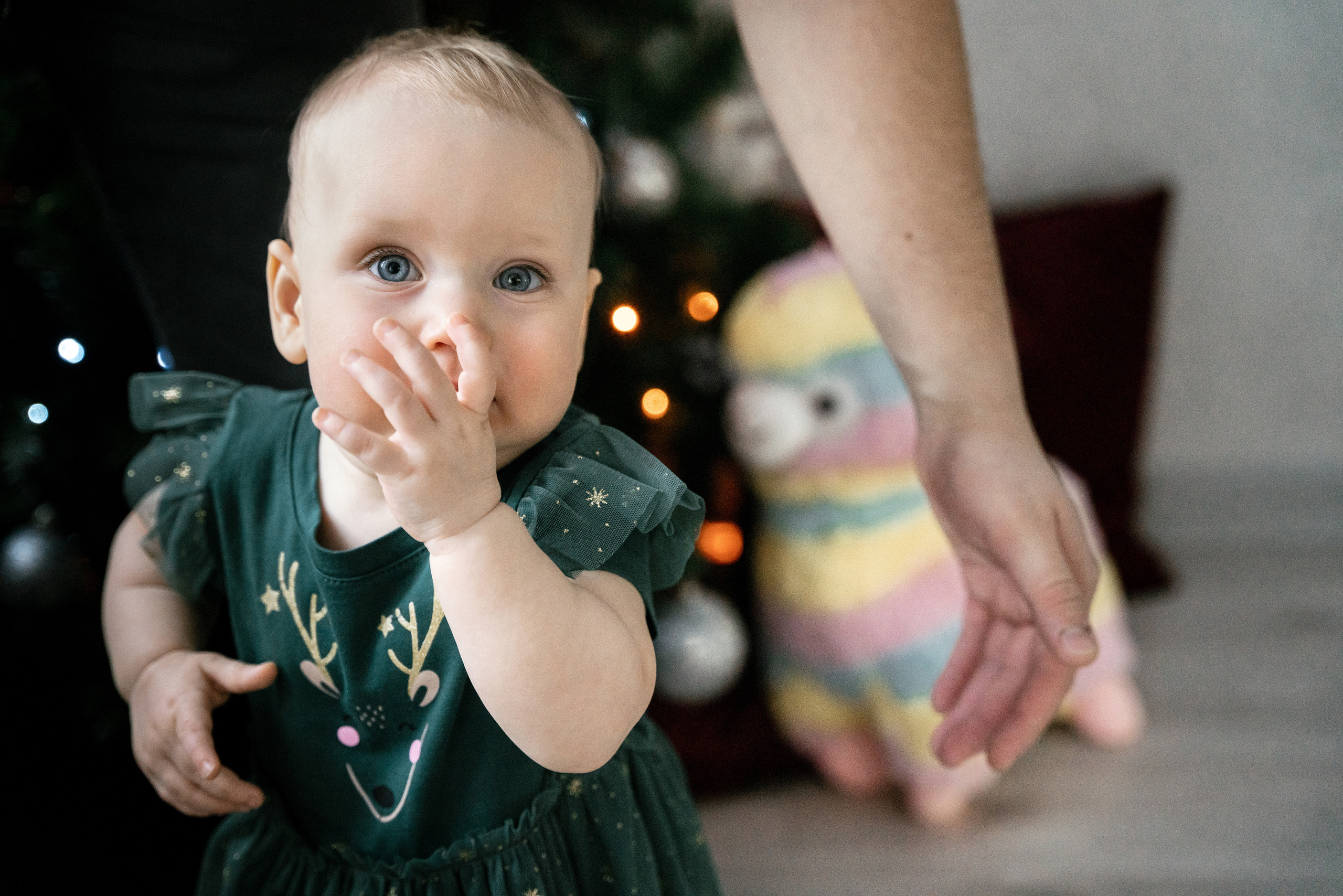 19.12.2021 Family. Фотограф Томск, Новосибирск Влад Свириденко