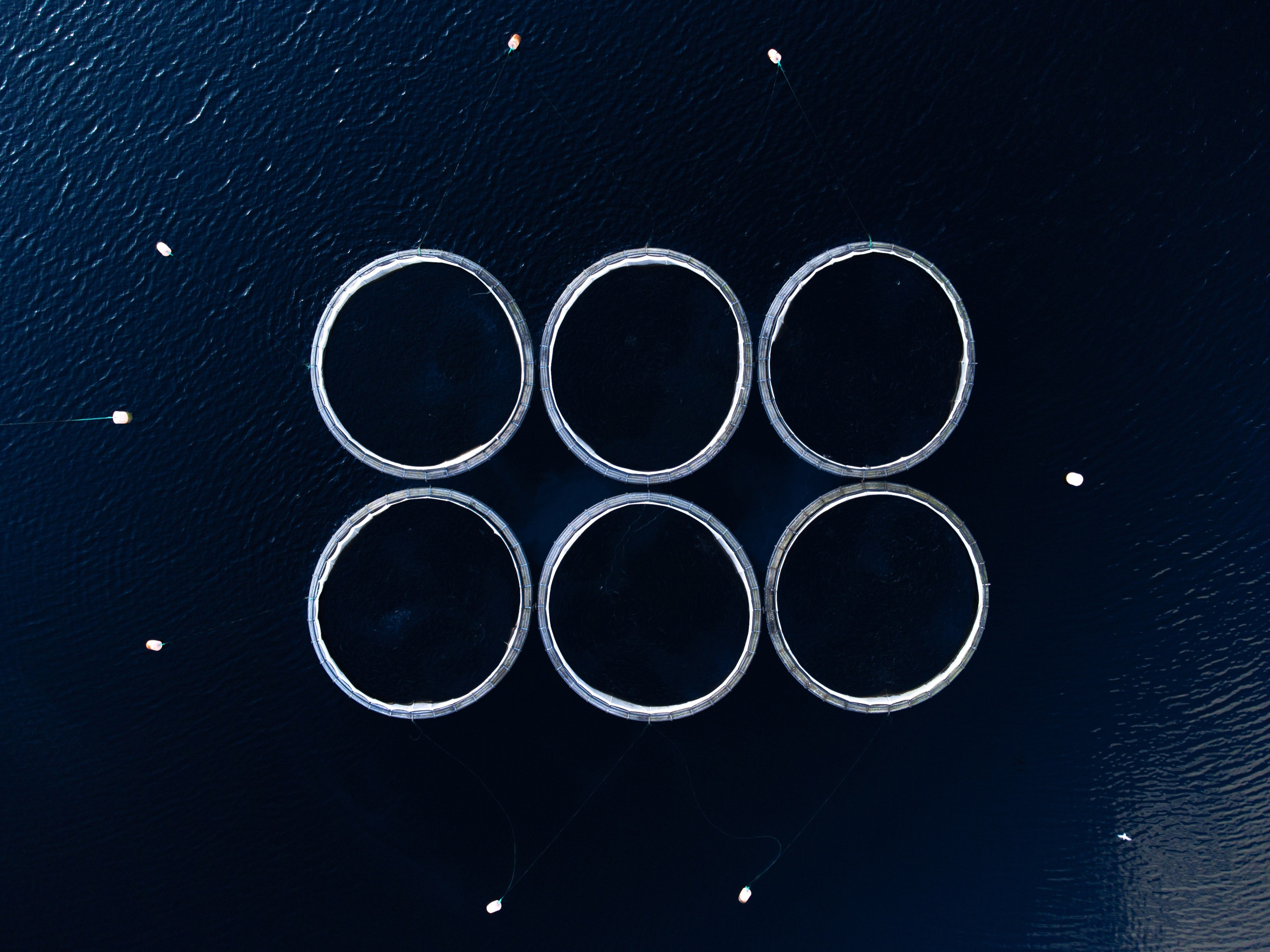 Материалы. Антон Ермаков | Коммерческий фотограф в Москве