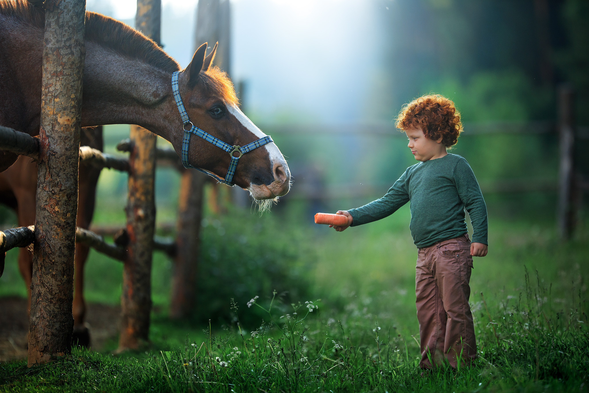 МК Ильи Двояковского. JuliaKram.ru