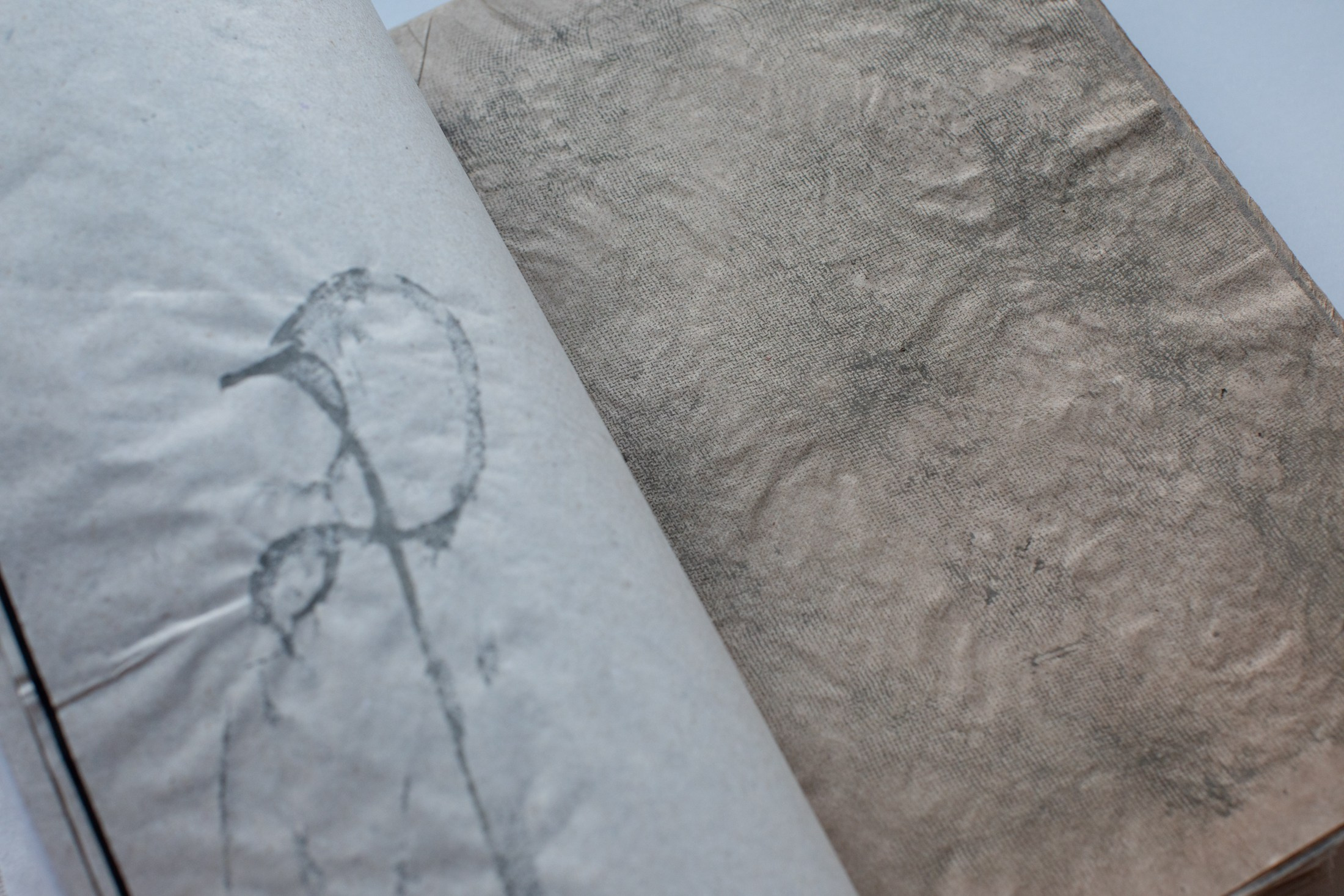 Подсосенские тетради. Natalya Madilyan