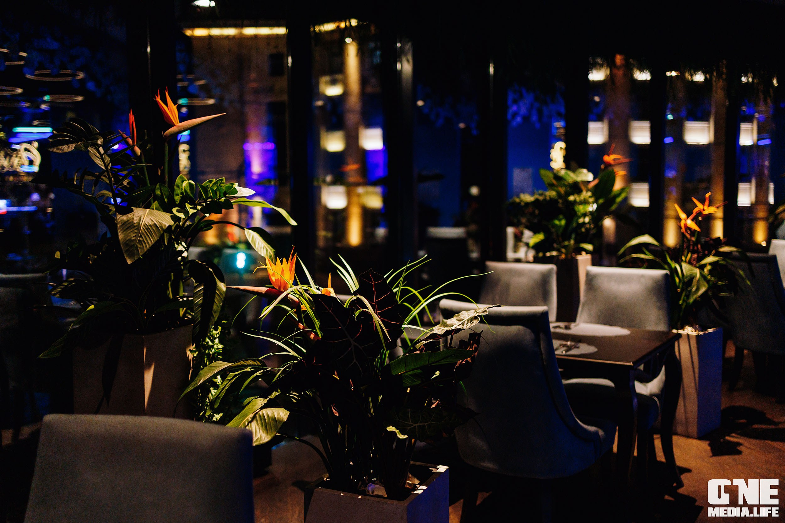 Фоторепортаж из ресторана Океан. One Media Life: фоторепортажи, фотоотчеты с мероприятий и заведений