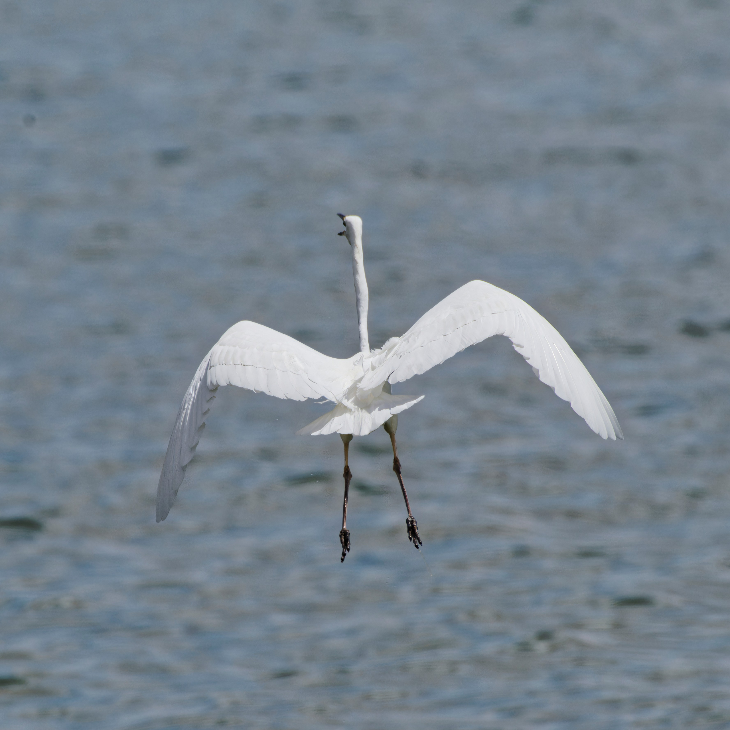 Экспедиция в Монголию (котловина больших озер). Семоха Валерий. Фотограф