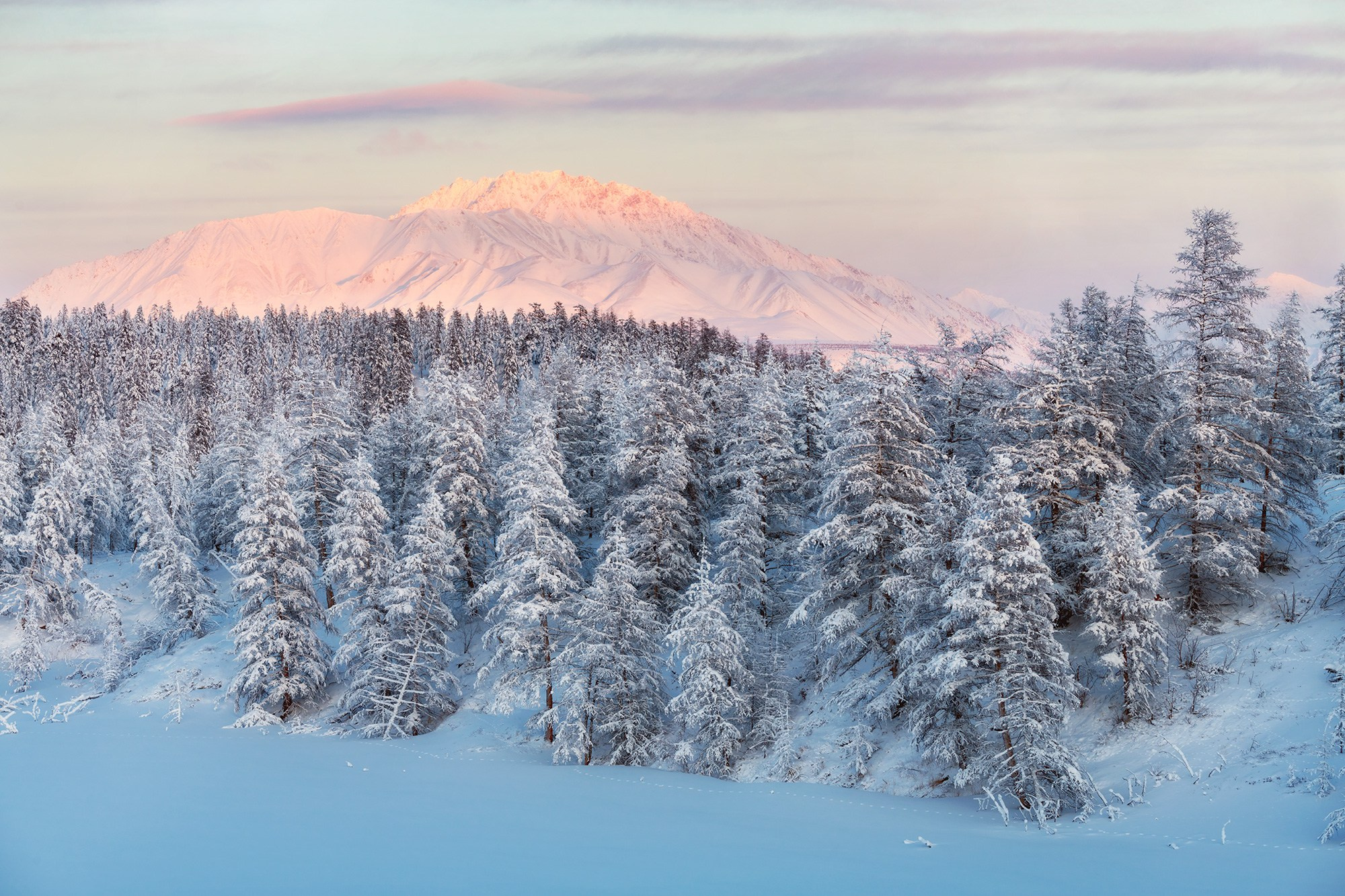 Программа зимней фотоэкспедиции в хребет Улахан-Чистай. Якутия