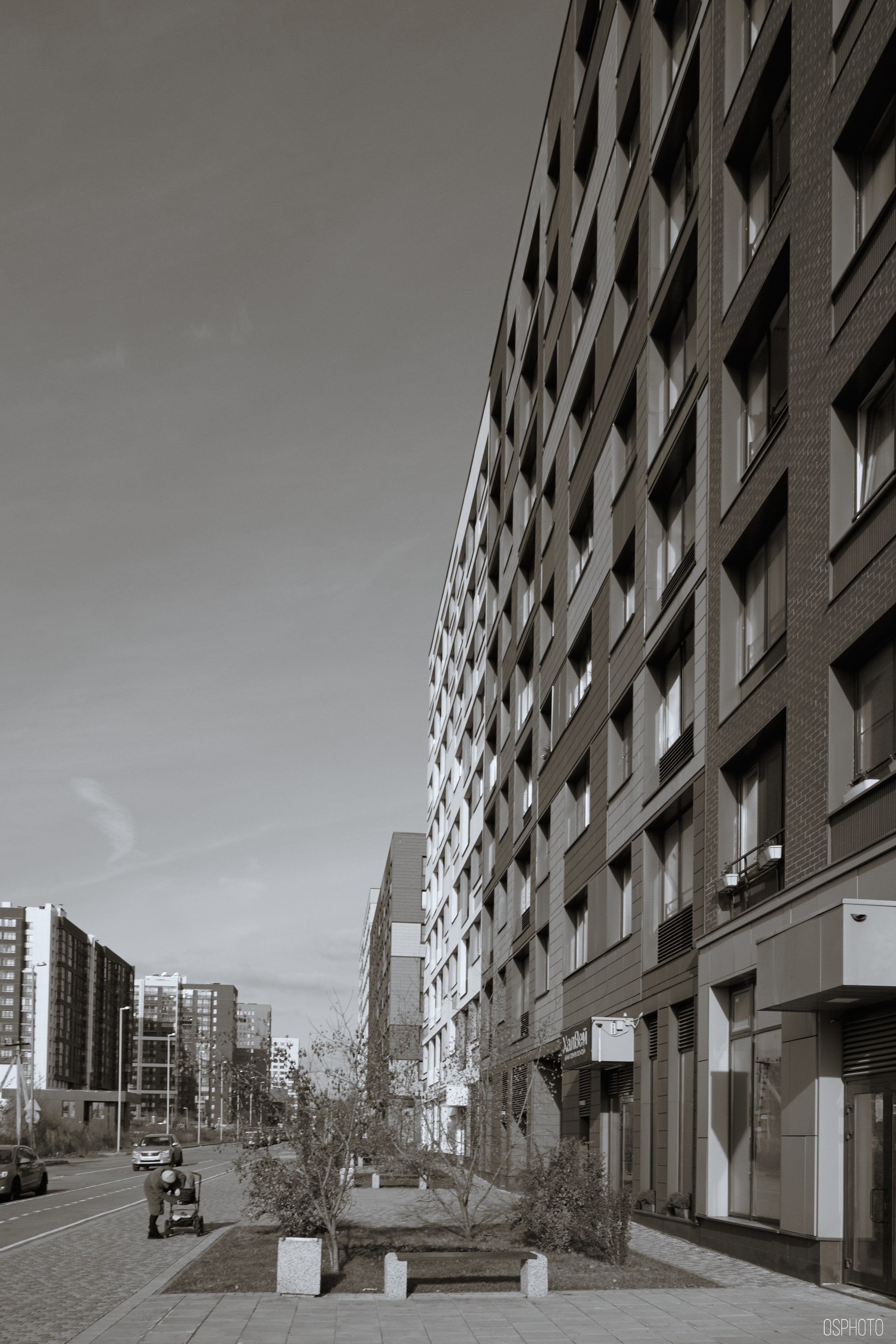 «Соседи Кофе». Микрогород в Лесу. Фотографъ Сергѣевъ. Поймать мгновеніе