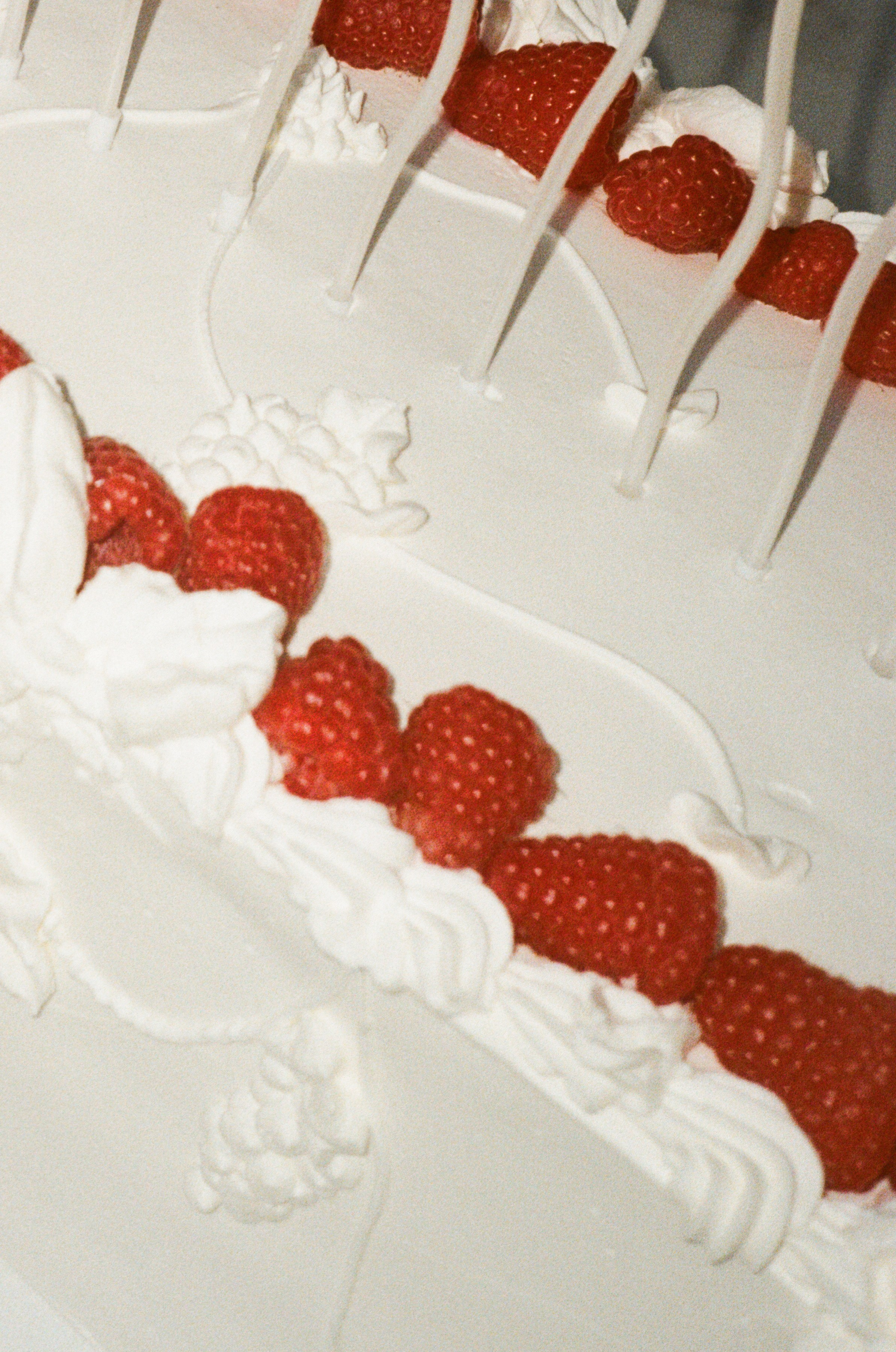 Свадебный и семейный фотограф и видеограф в Крыму | Алёна Межевова