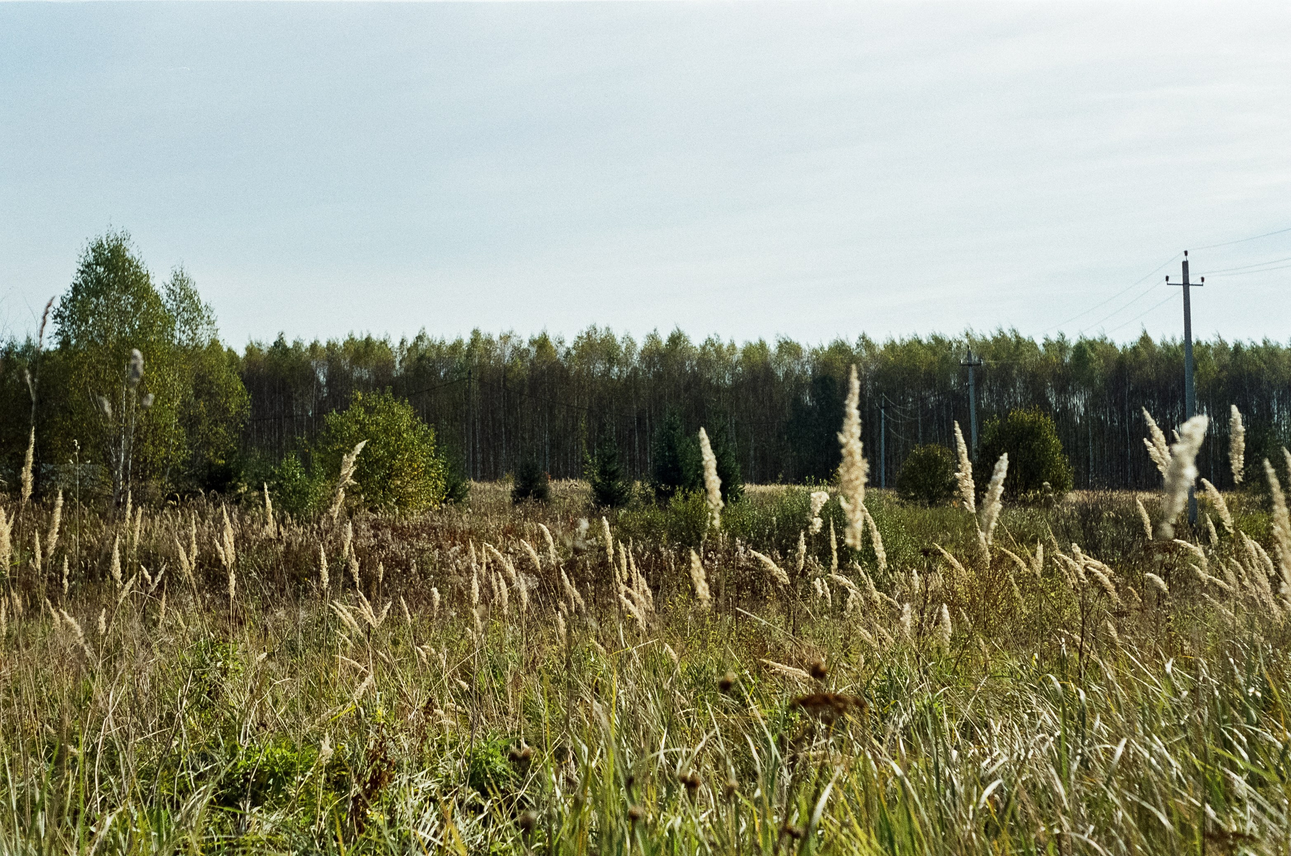 Voigtlander Vitessa / Color-Skopar 50 mm f/3.5 / Kodak Gold 100 (просрочка)