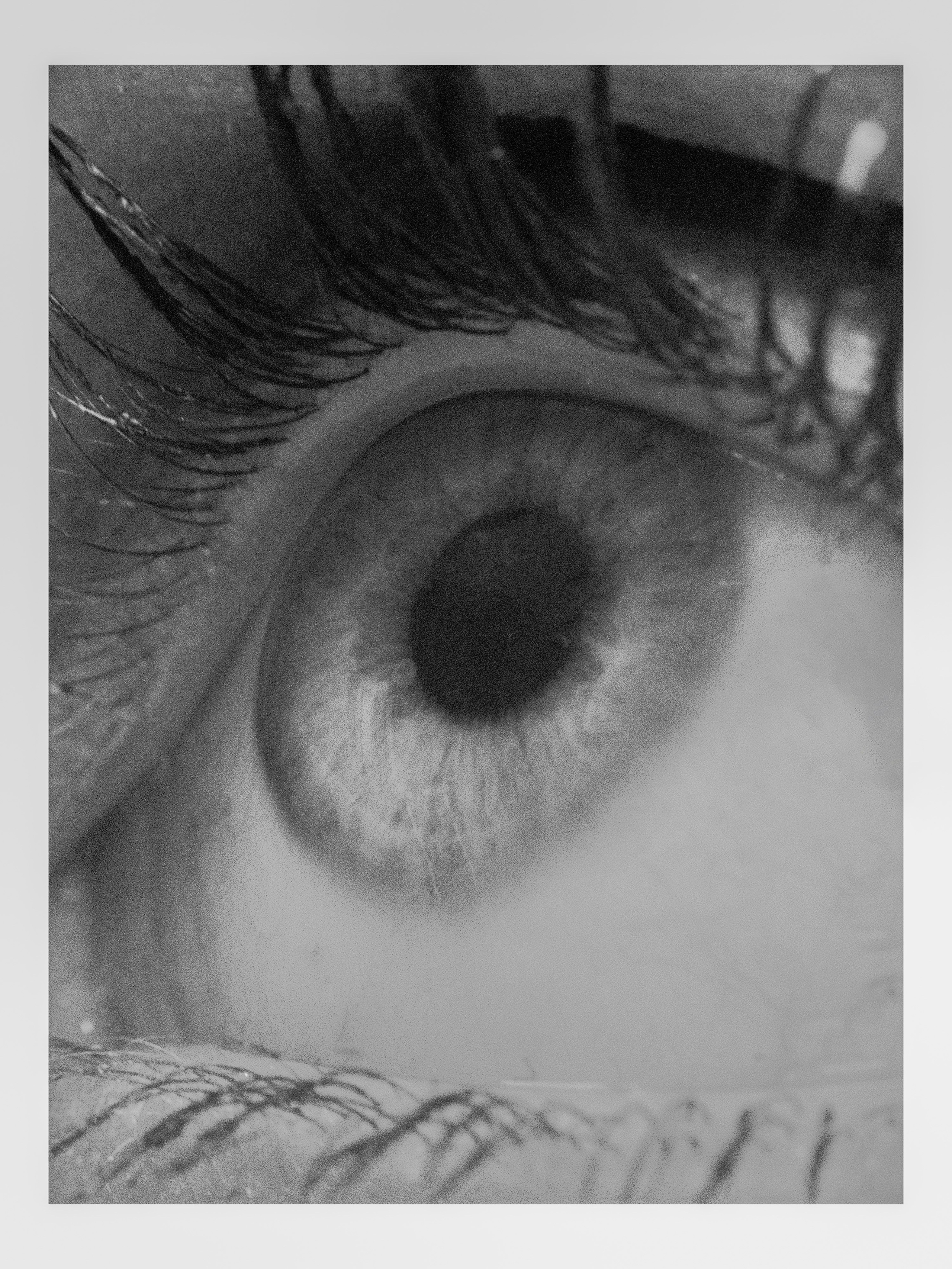 Фотограф Ефим Александров в Астрахани