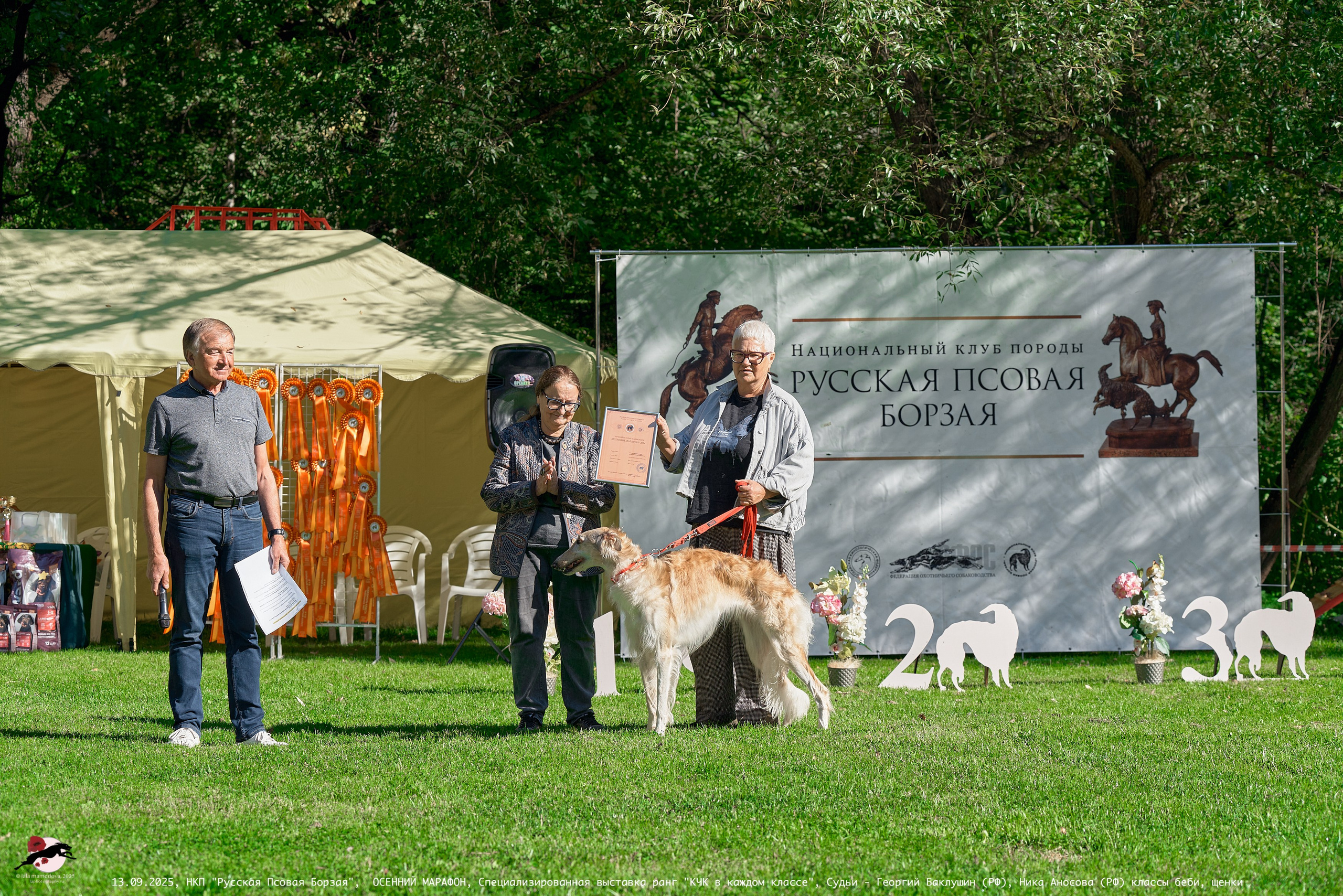 ОСЕННИЙ МАРАФОН | Специализированная выставка породы Русская Псовая Борзая ранг "КЧК в каждом классе"