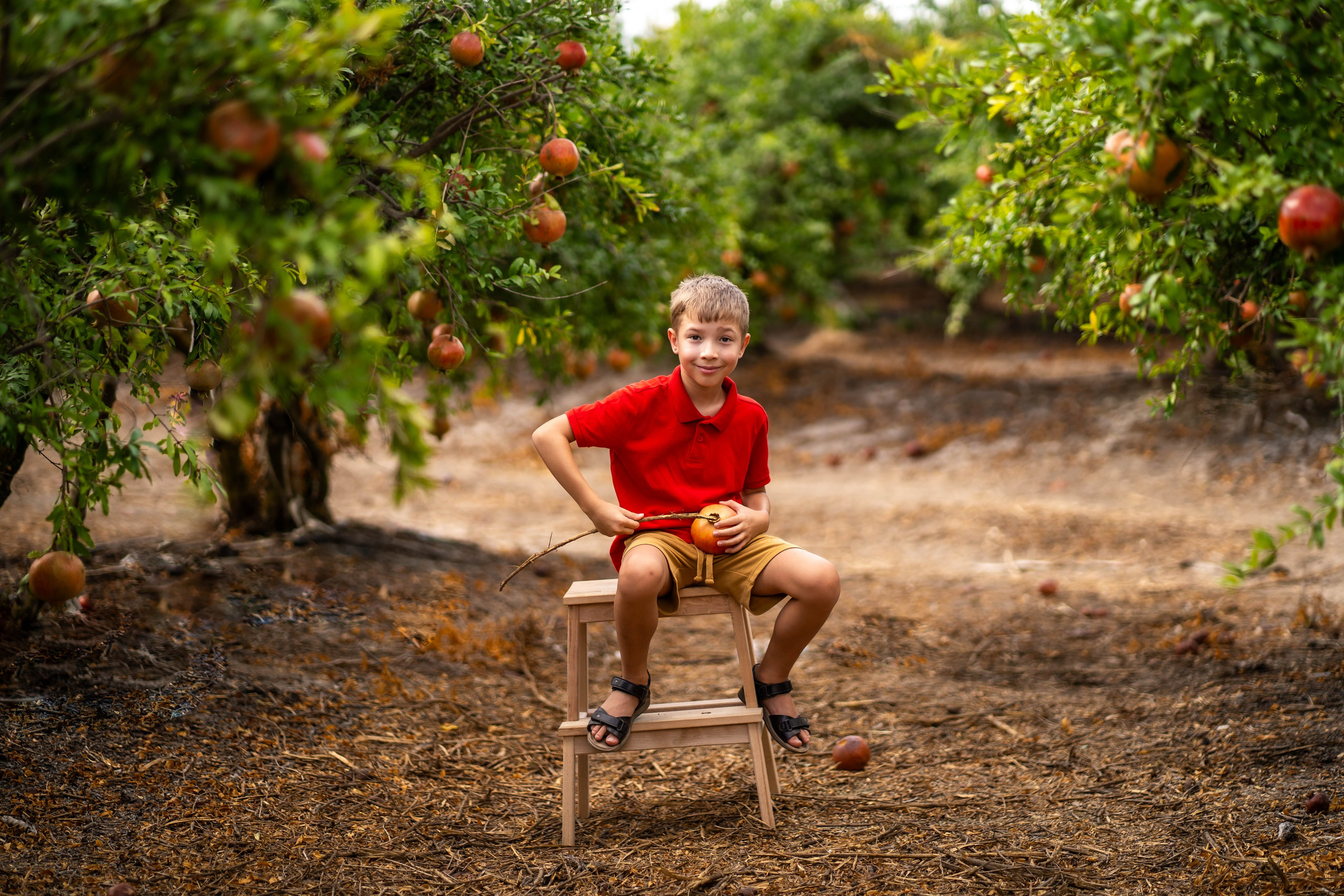 Гранатовый сад. Семейный и детский фотограф в Израиле и Москве Дорошок Надя