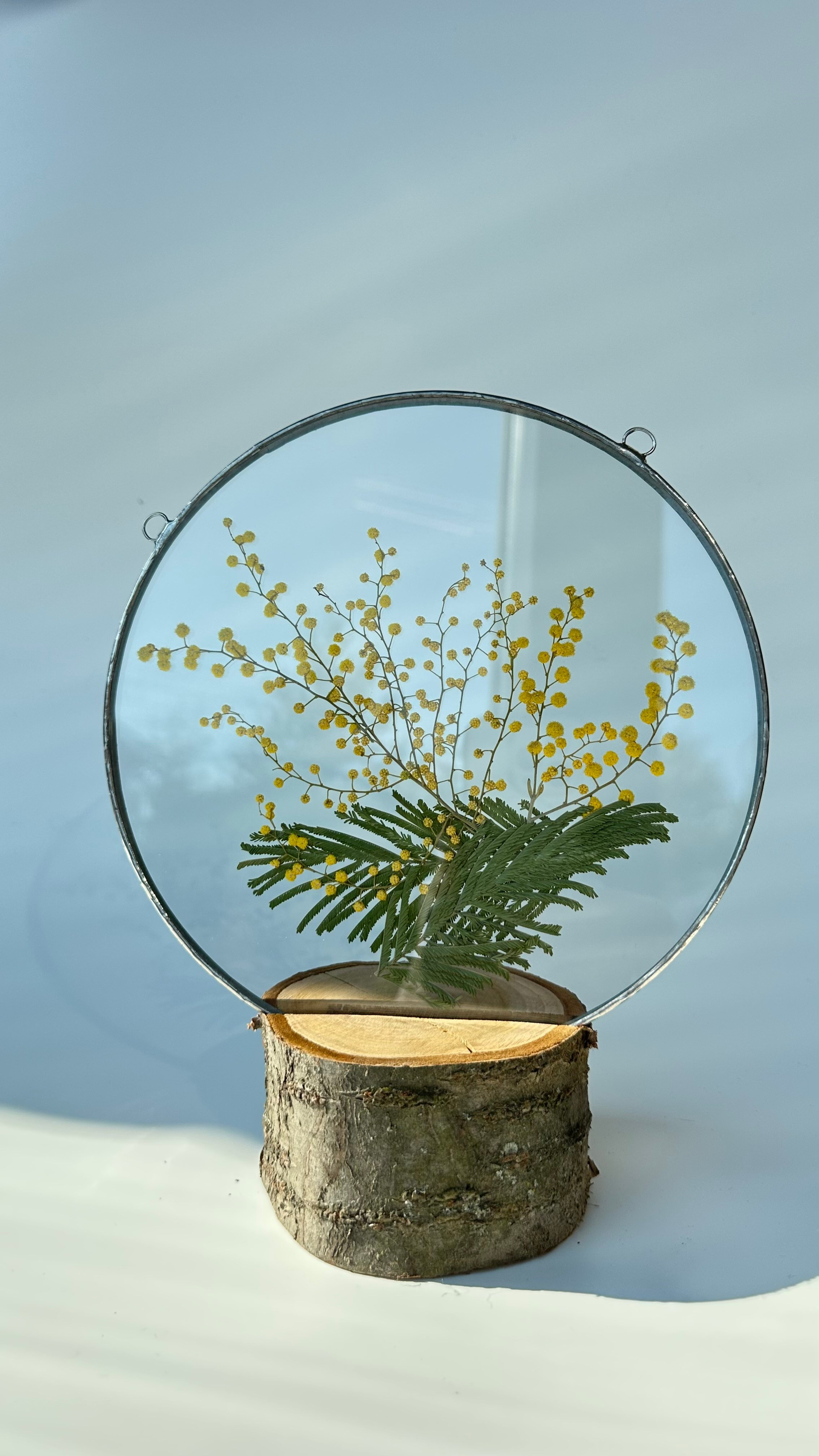 Мимоза круг 20 см. Оформляю пространства. Витражи с сухоцветами в технике Тиффани