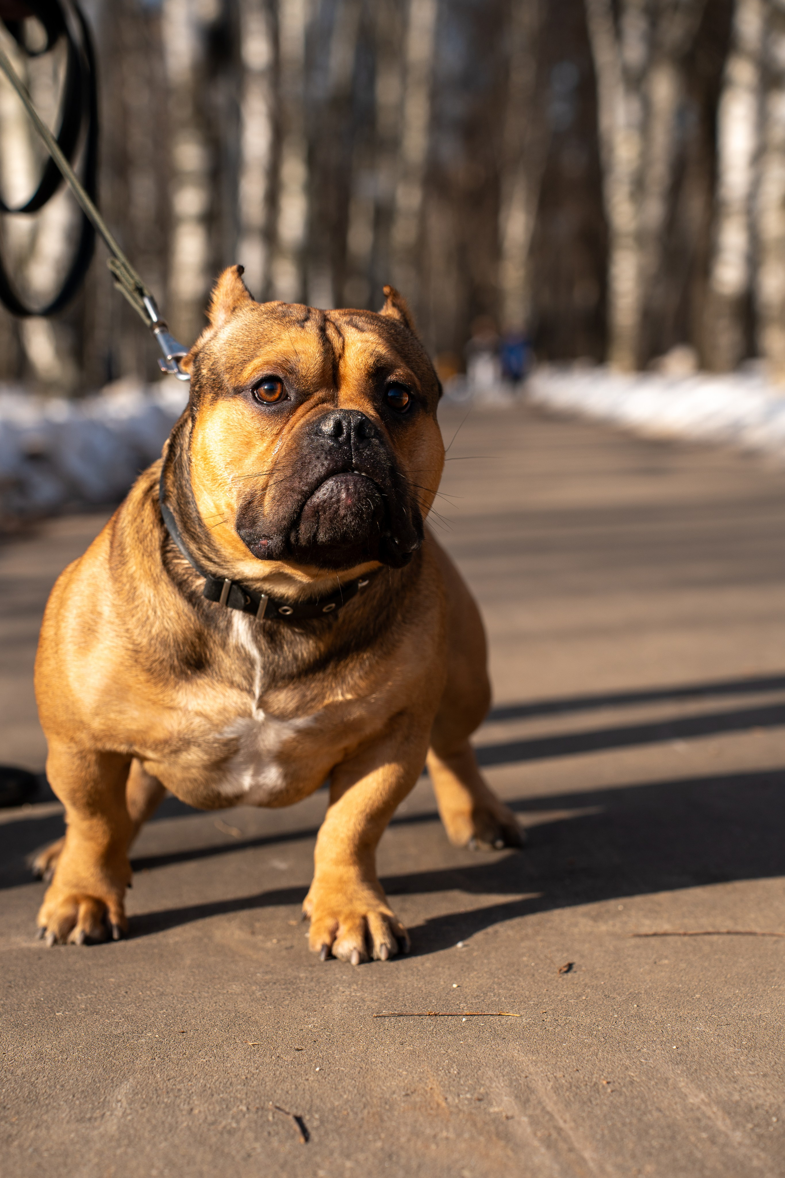 Фотограф Алиса Счастливая | Свадьбы, дети, спорт | Москва
