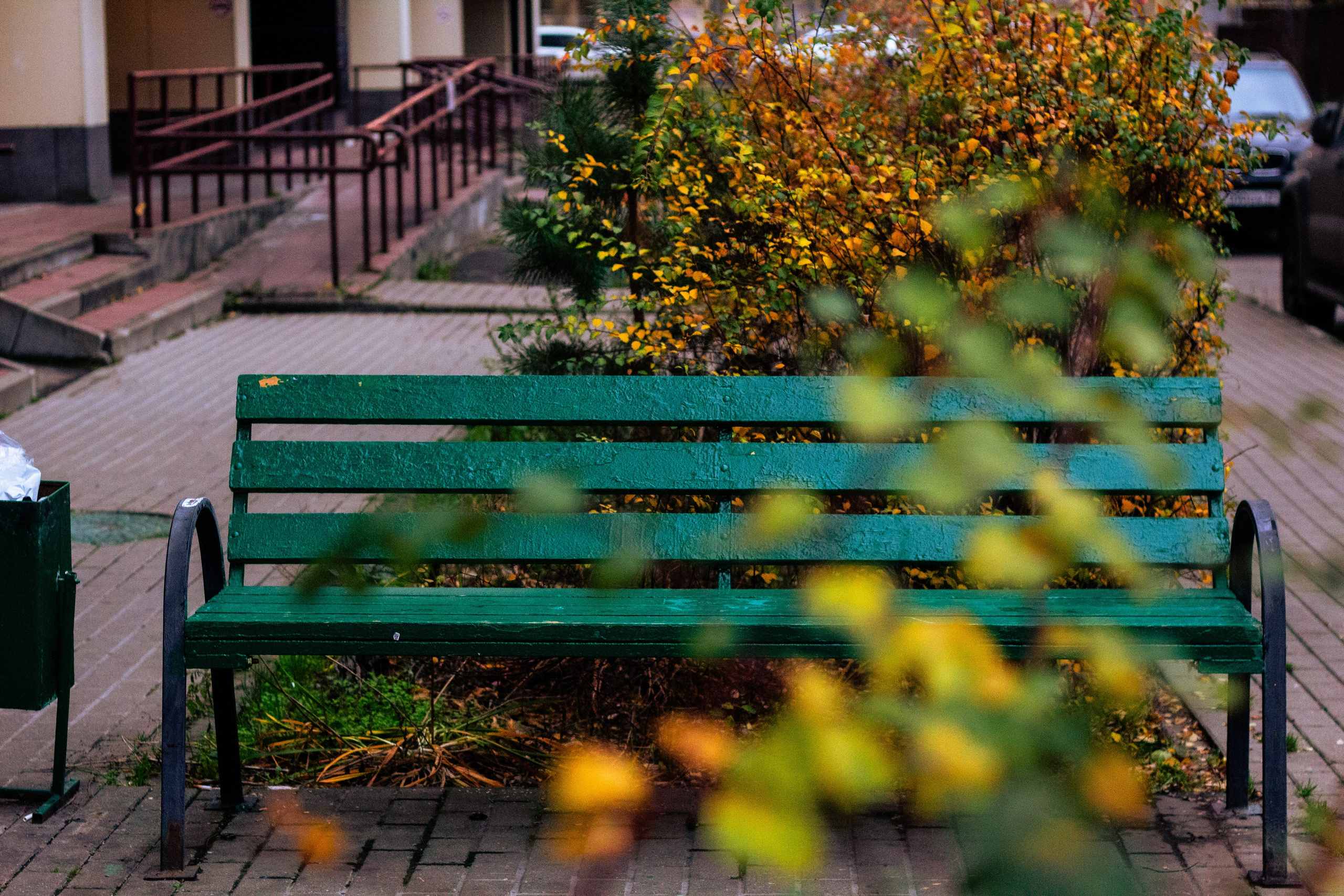 Осень в Москве. Фотограф Москва, портрет, стрит, репортаж. Художественная фотосессия