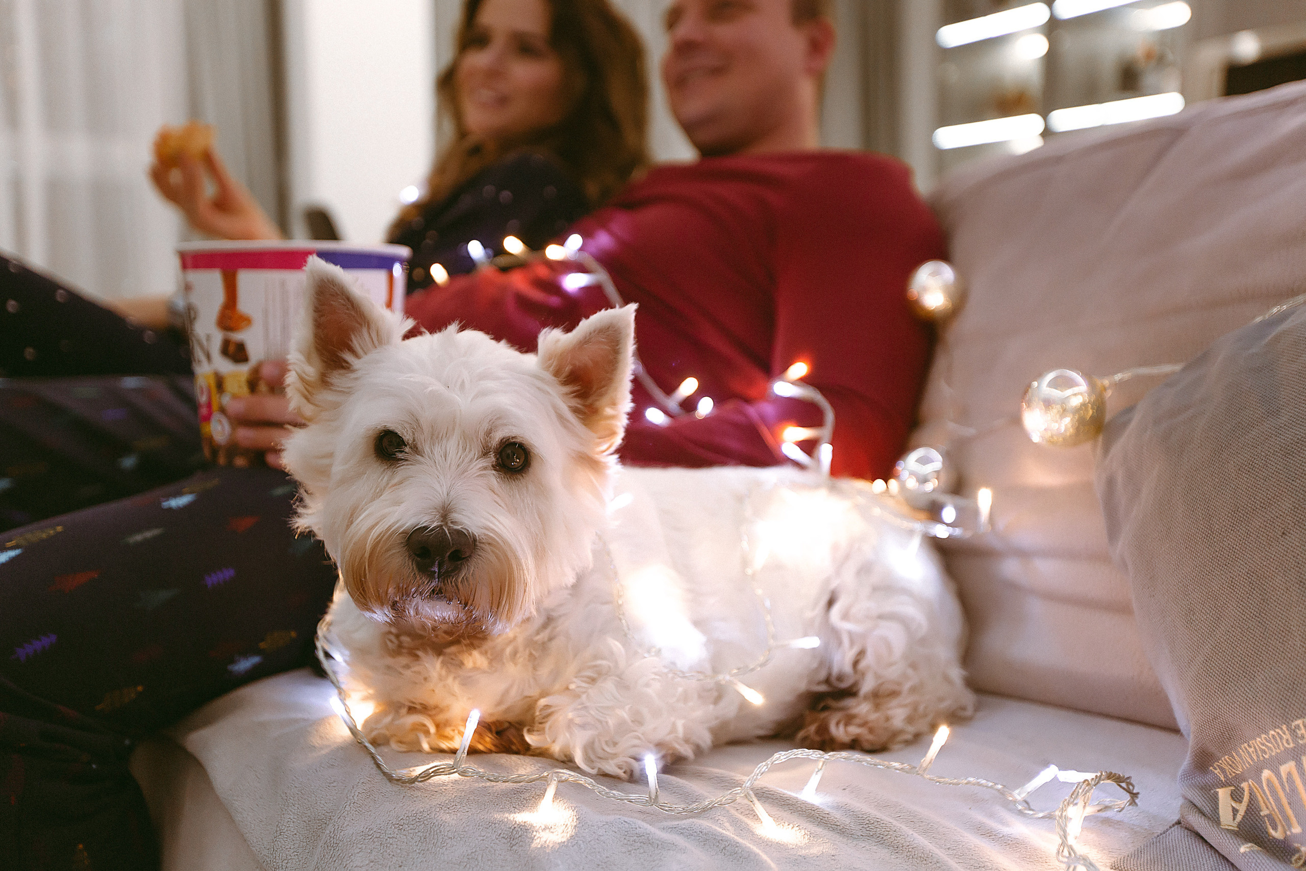 Доставка НГ до дивана). Фотограф в Новосибирске и Москве