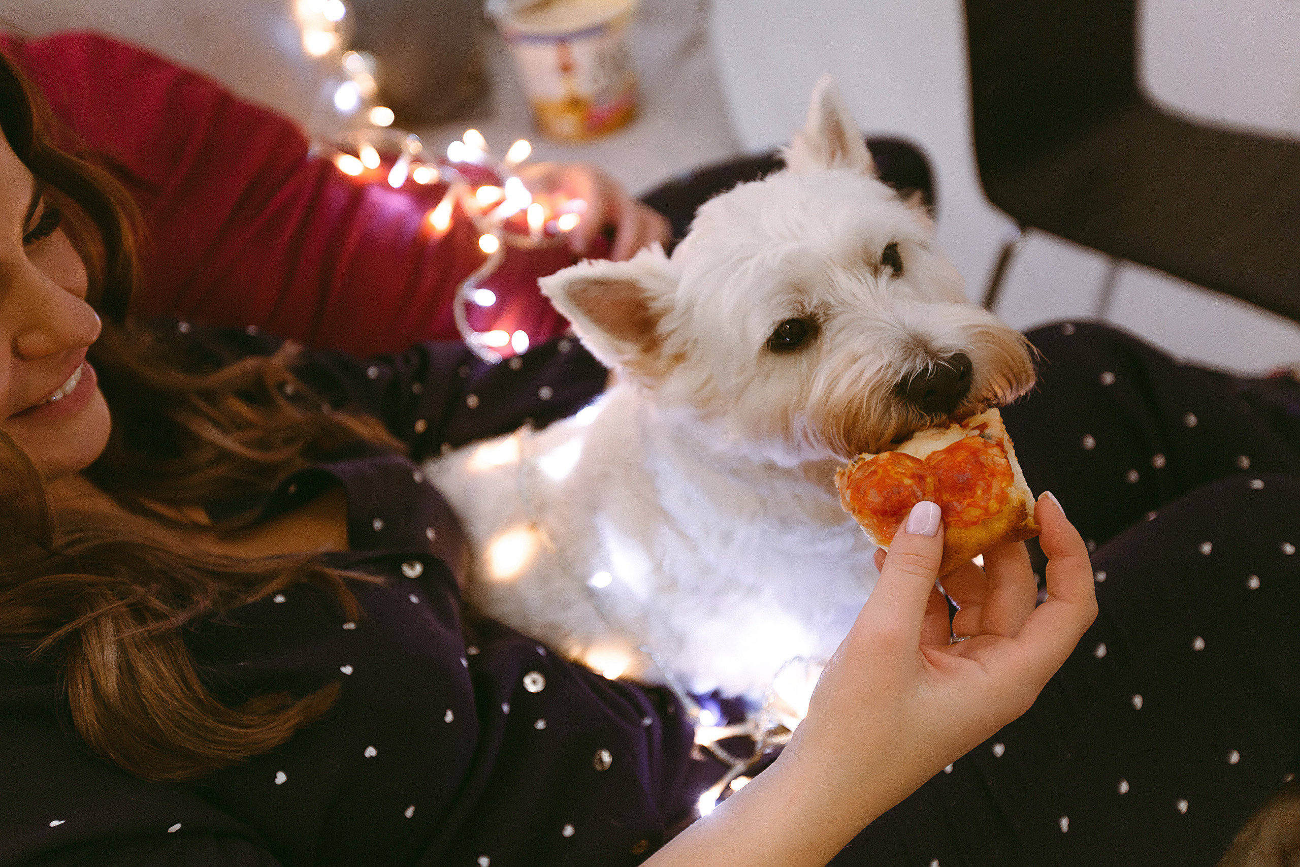 Доставка НГ до дивана). Фотограф в Новосибирске и Москве