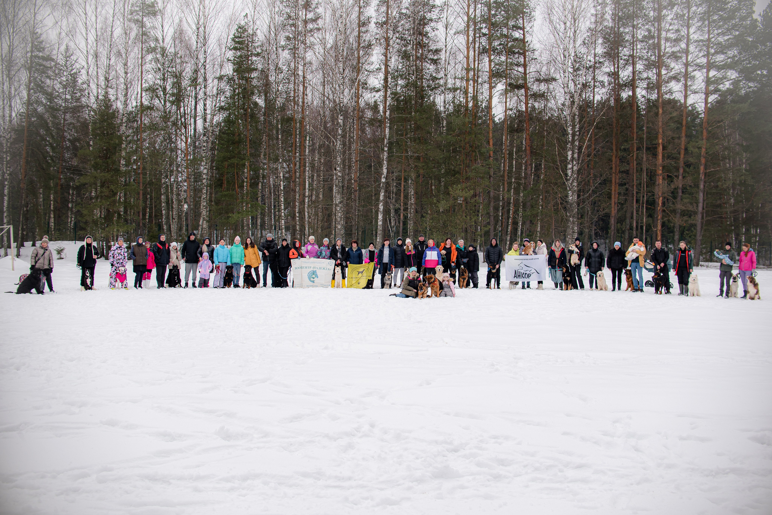 Фотосессии в кинологическом лагере. Фотограф Макс Огурцов в Нижнем Новгороде